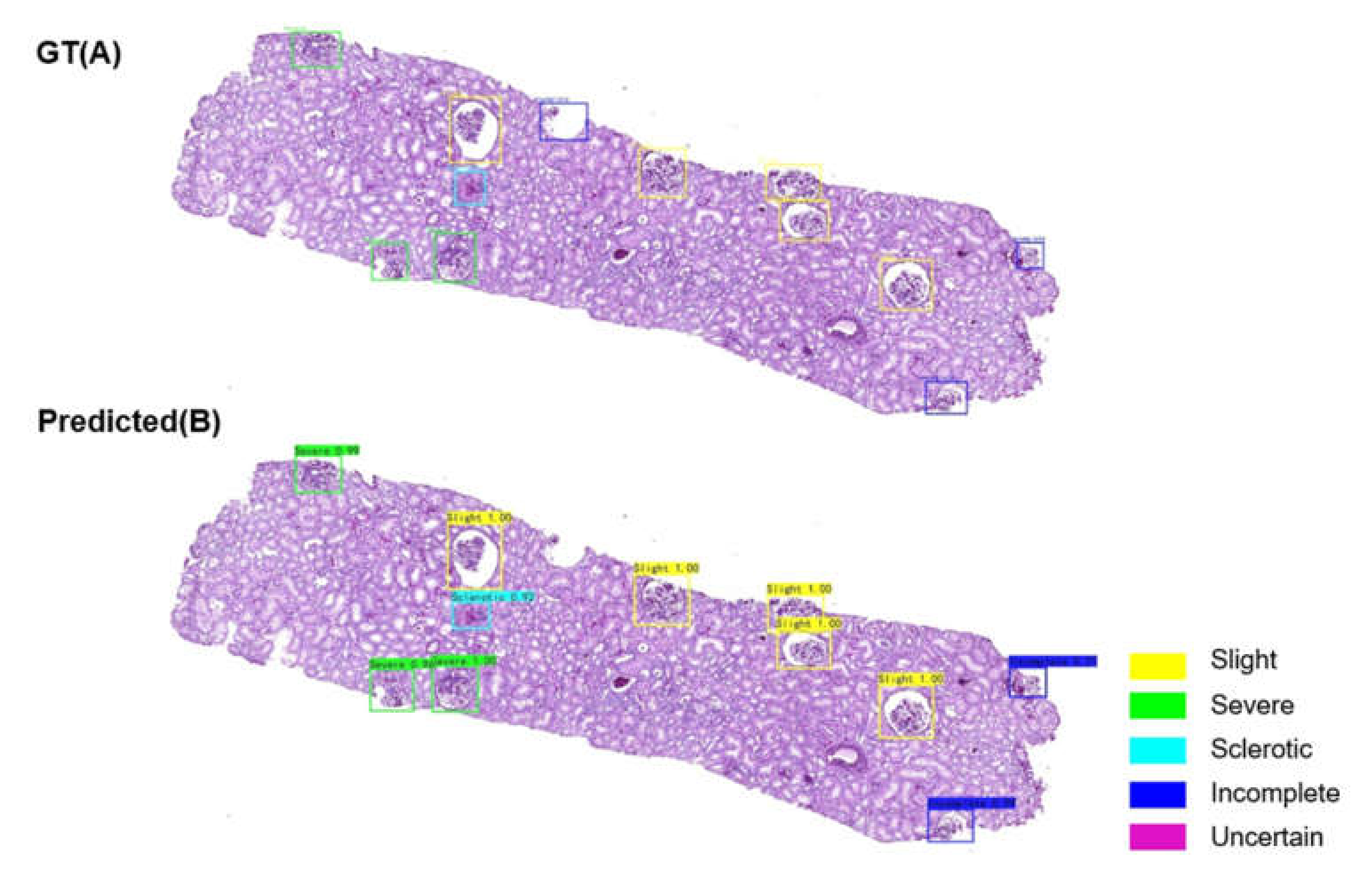 Diagnostics 11 01983 g005