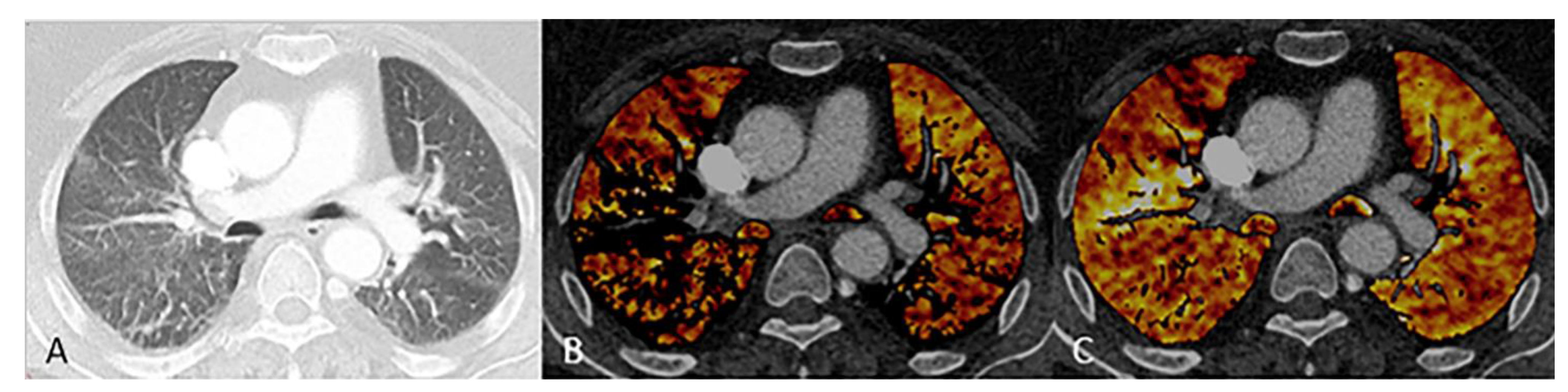 Diagnostics 11 01989 g002