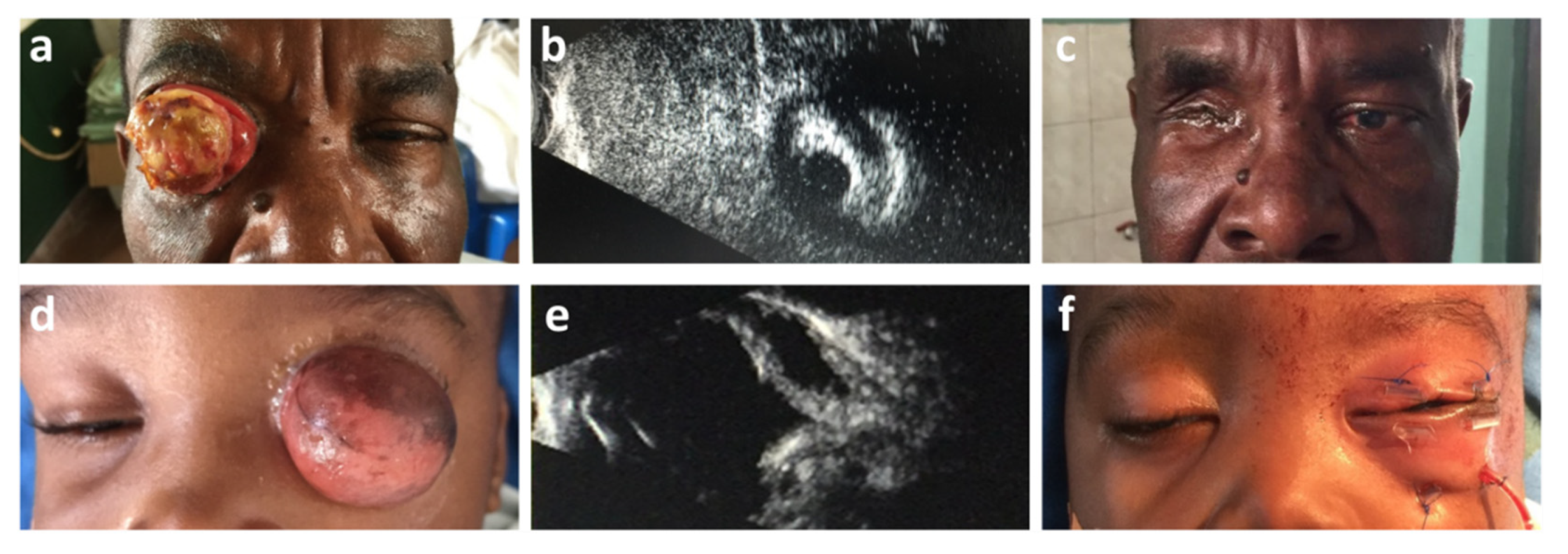 Diagnostics 11 02009 g002