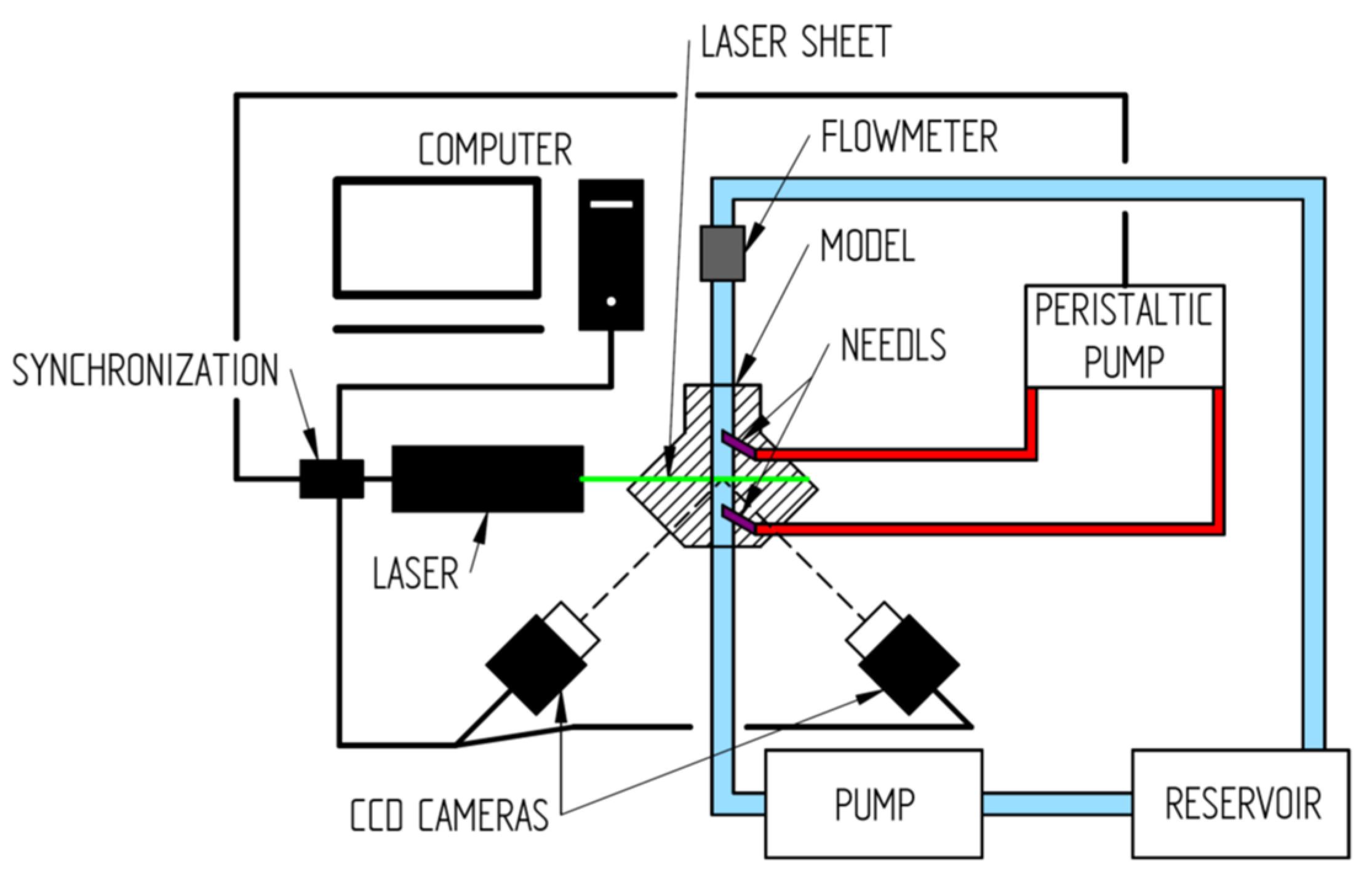 Diagnostics 11 02010 g002