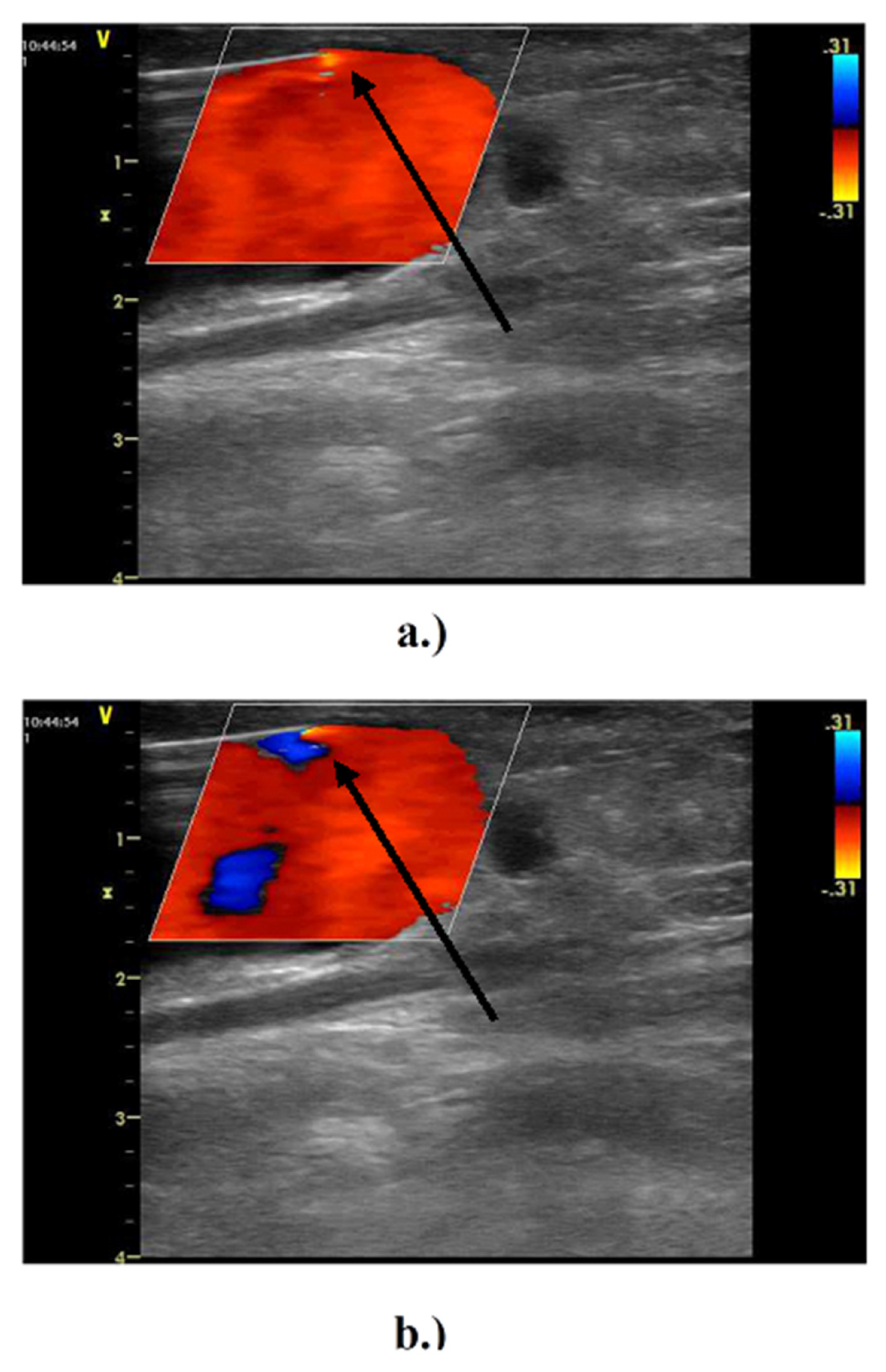 Diagnostics 11 02010 g003