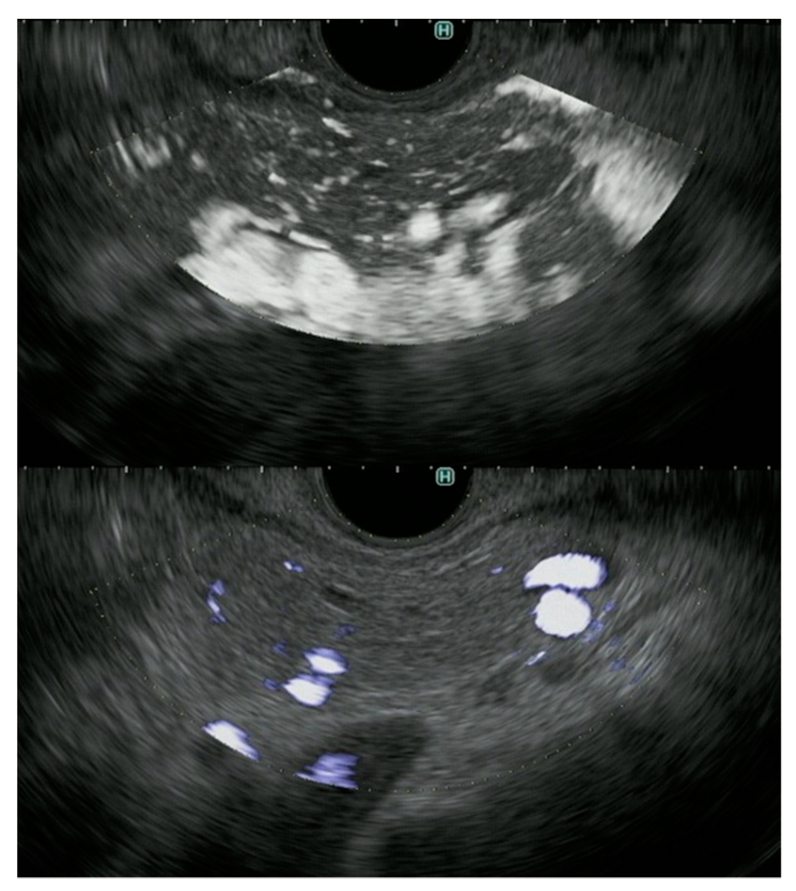 Diagnostics 11 02018 g008