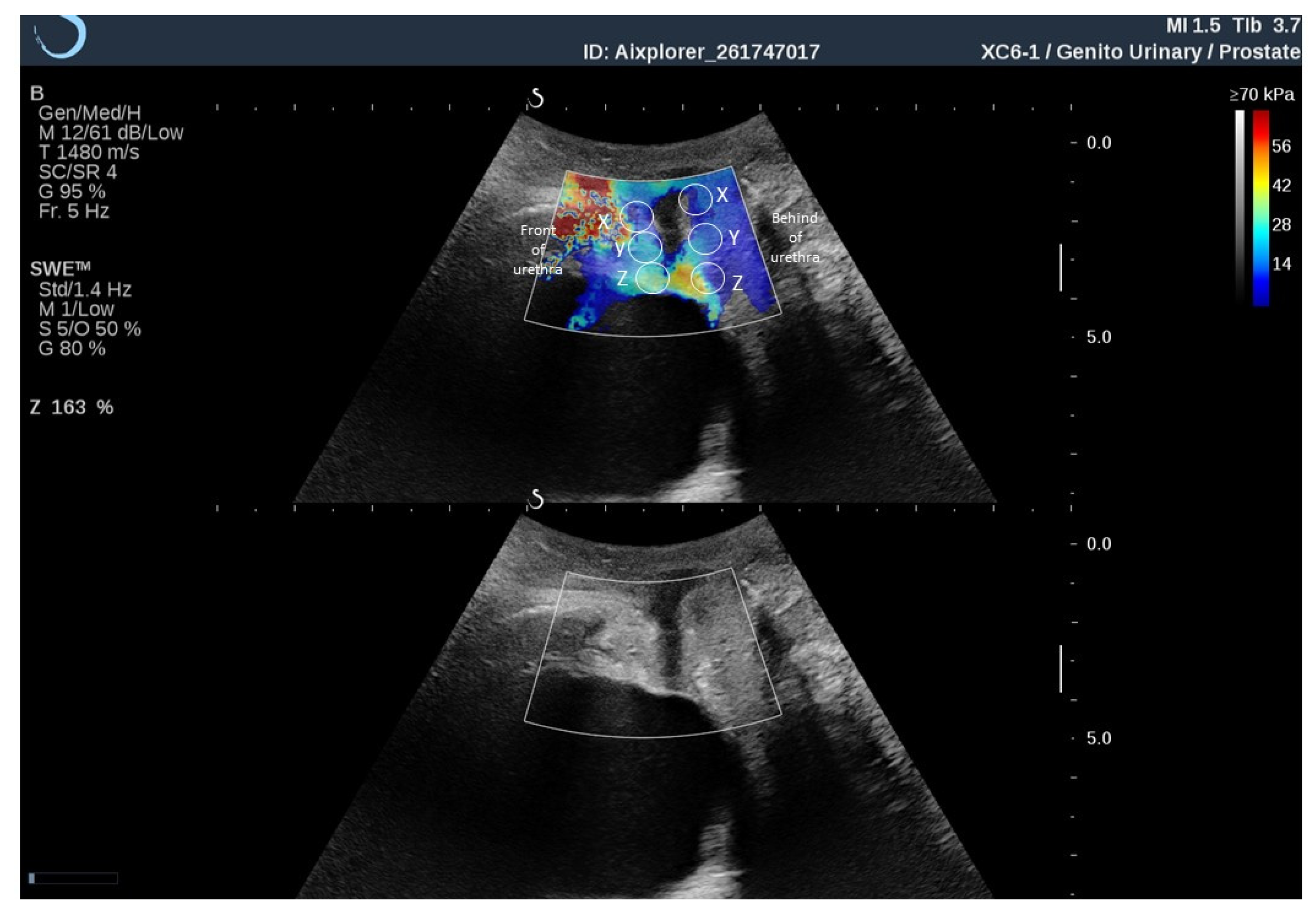 Diagnostics 11 02051 g001