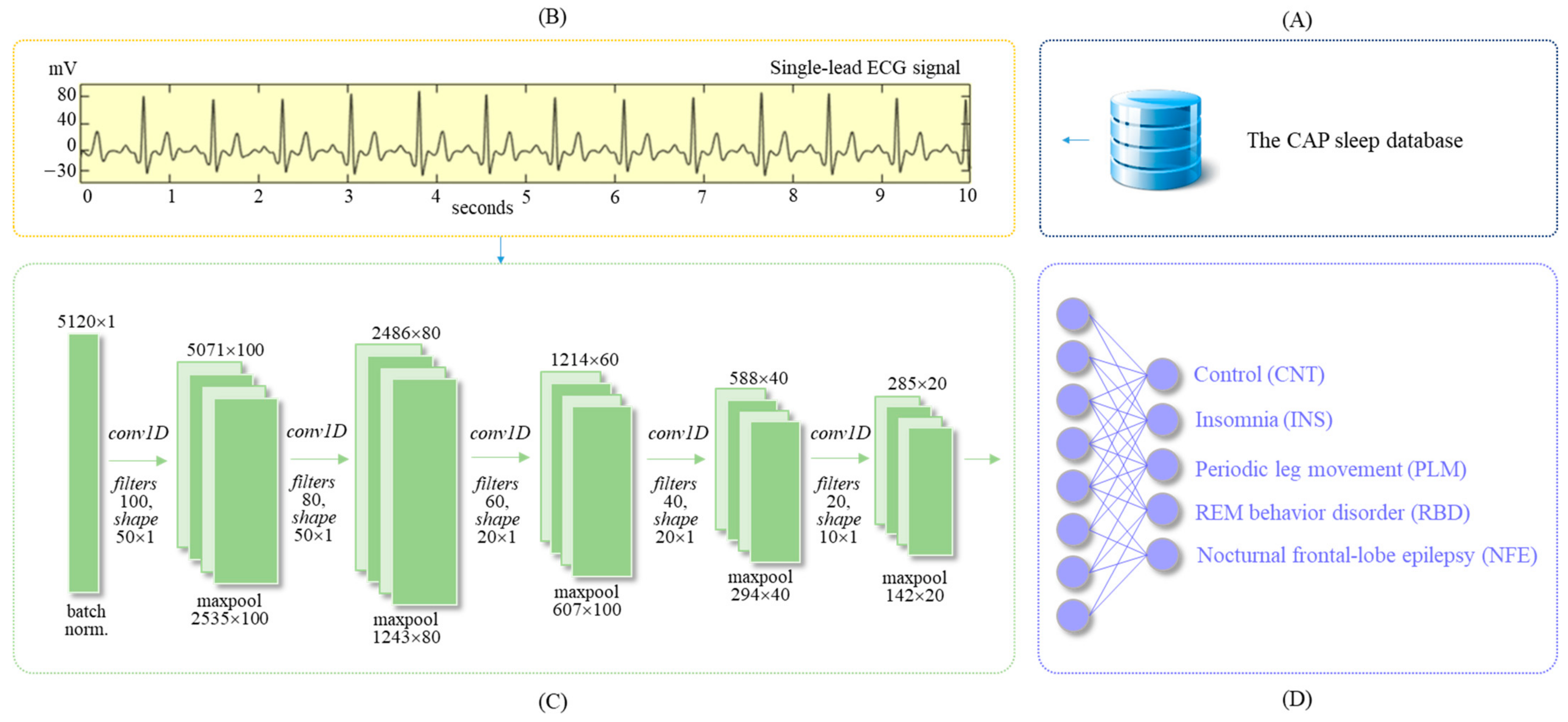 Diagnostics 11 02054 g001
