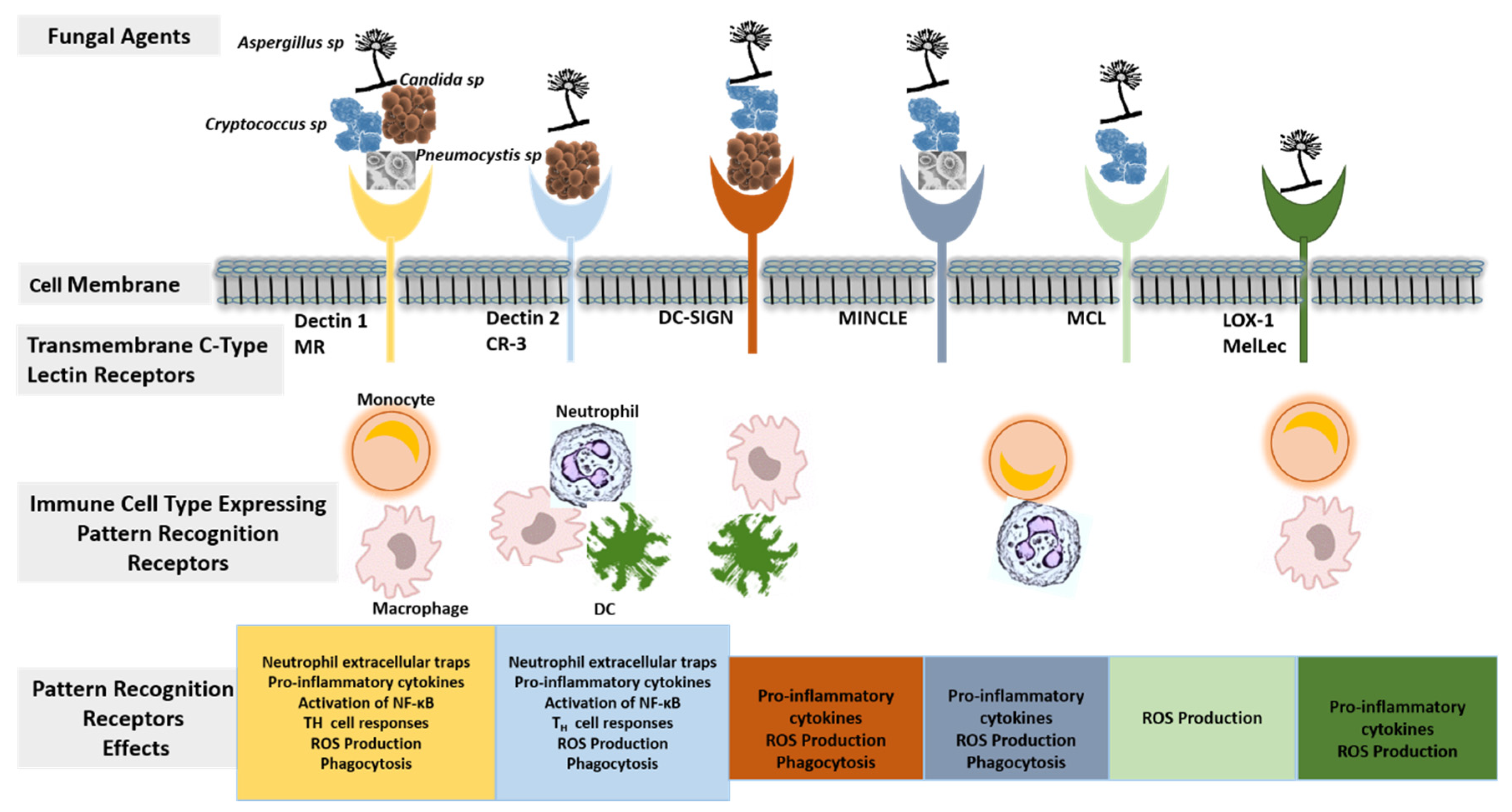 Diagnostics 11 02057 g001