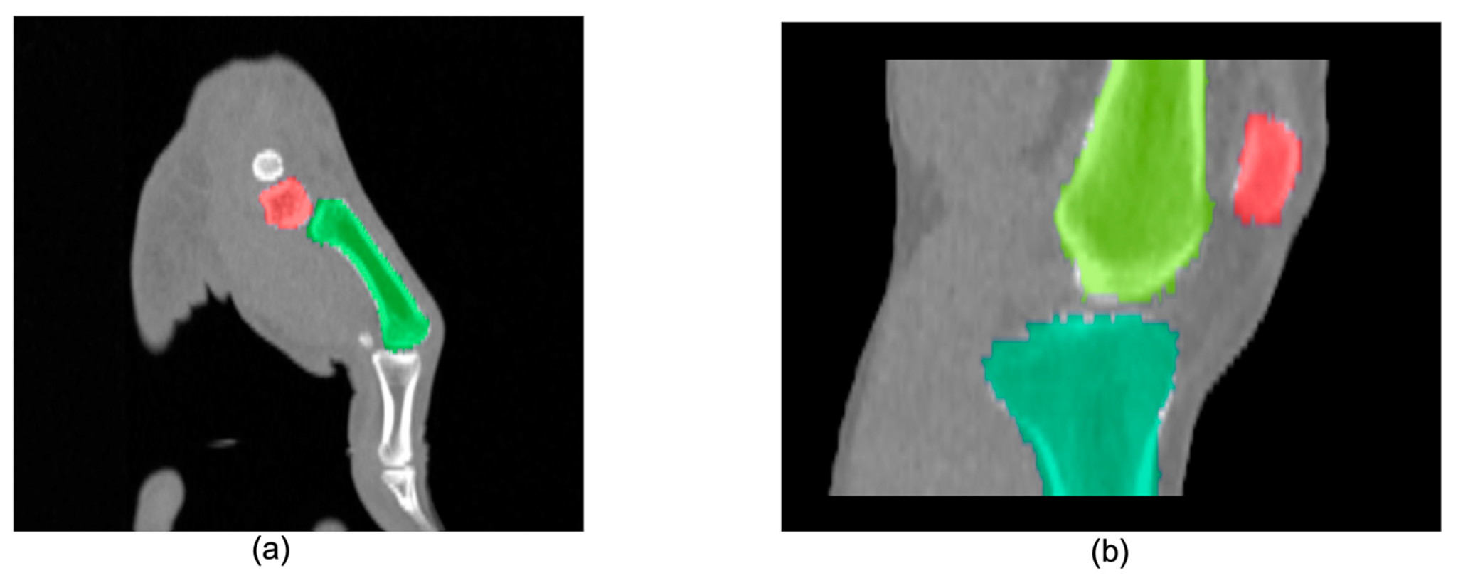 Diagnostics 11 02062 g005