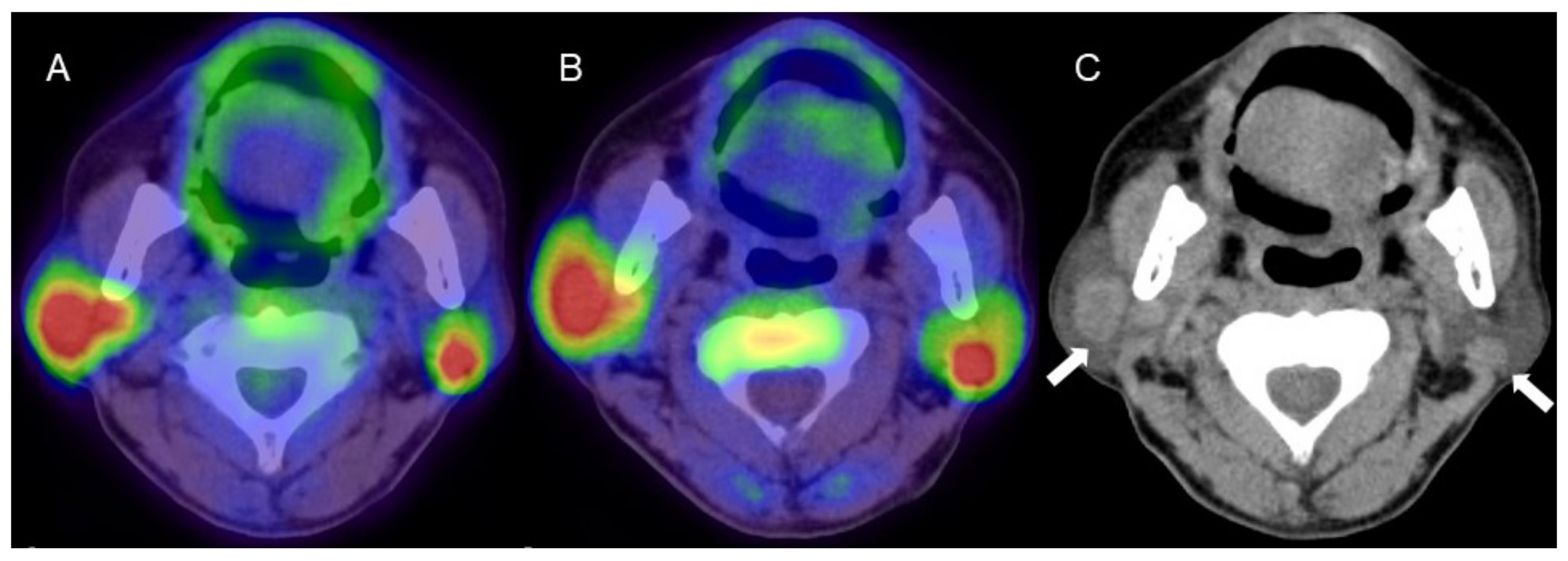 Diagnostics 11 02065 g002