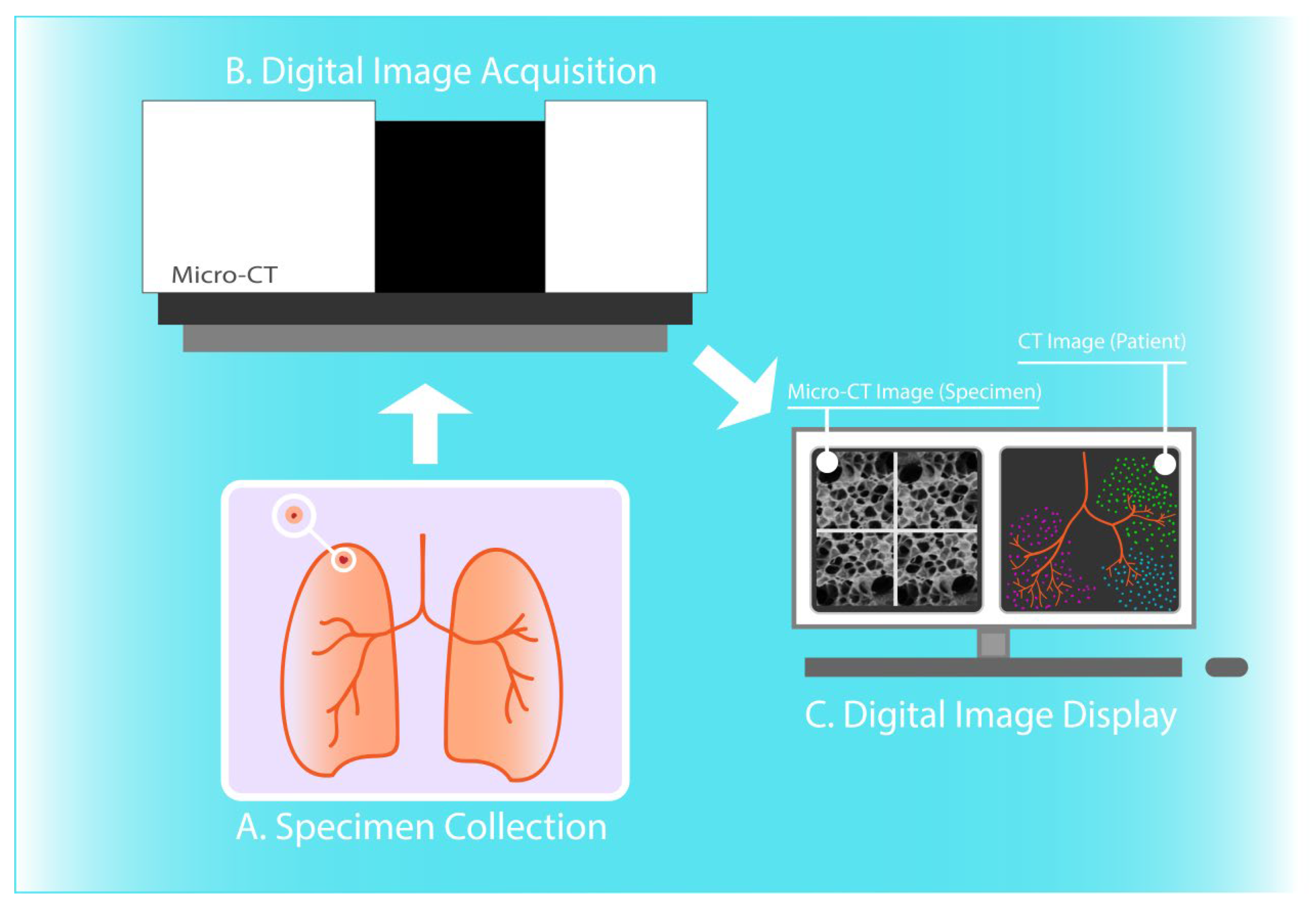 Diagnostics 11 02075 g003