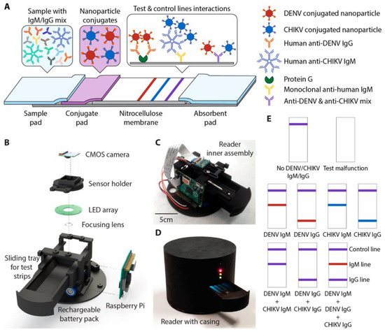Optical Biosensors for Diagnostics of Infectious Viral Disease: A ...