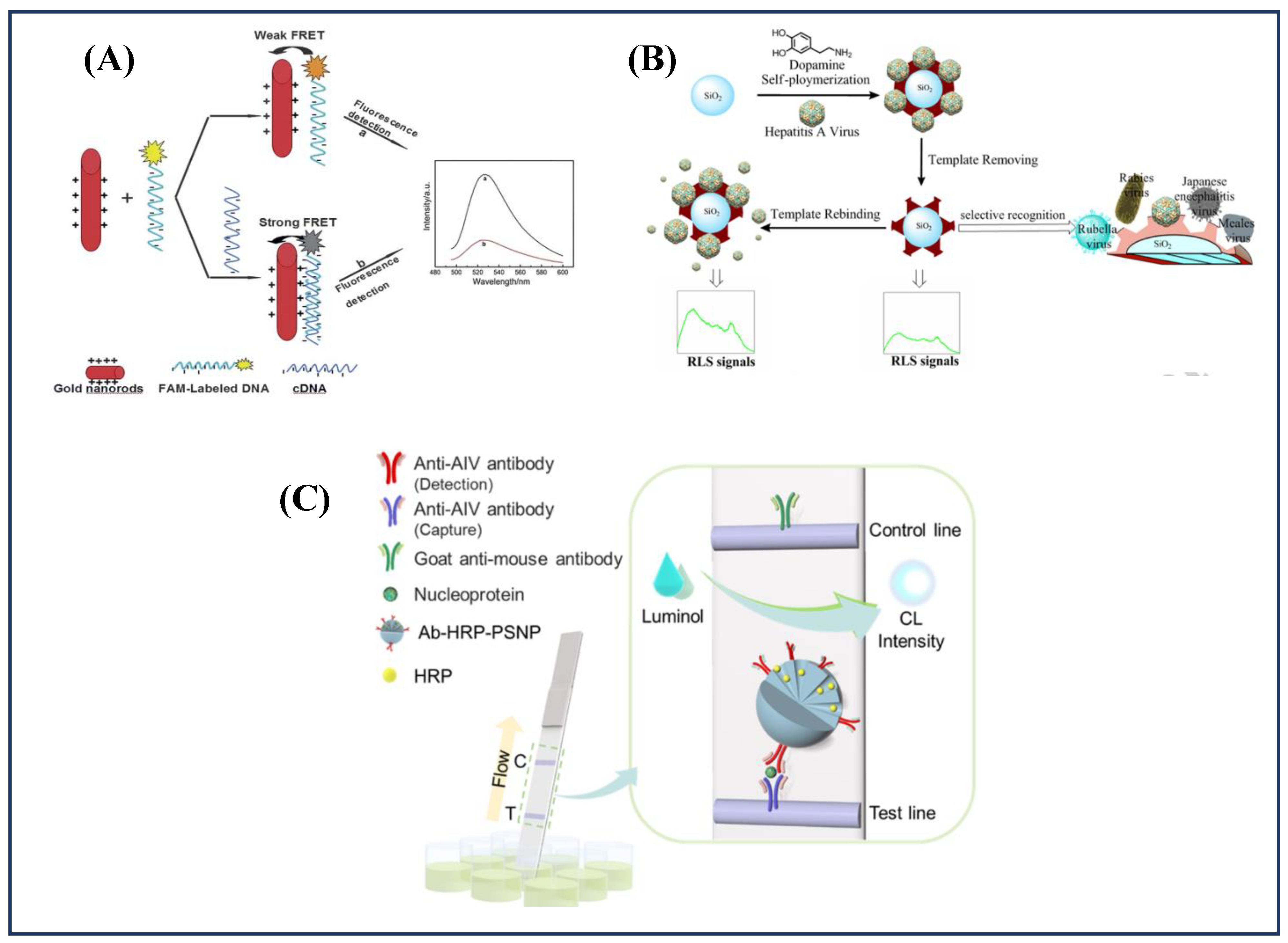 Diagnostics 11 02083 g004
