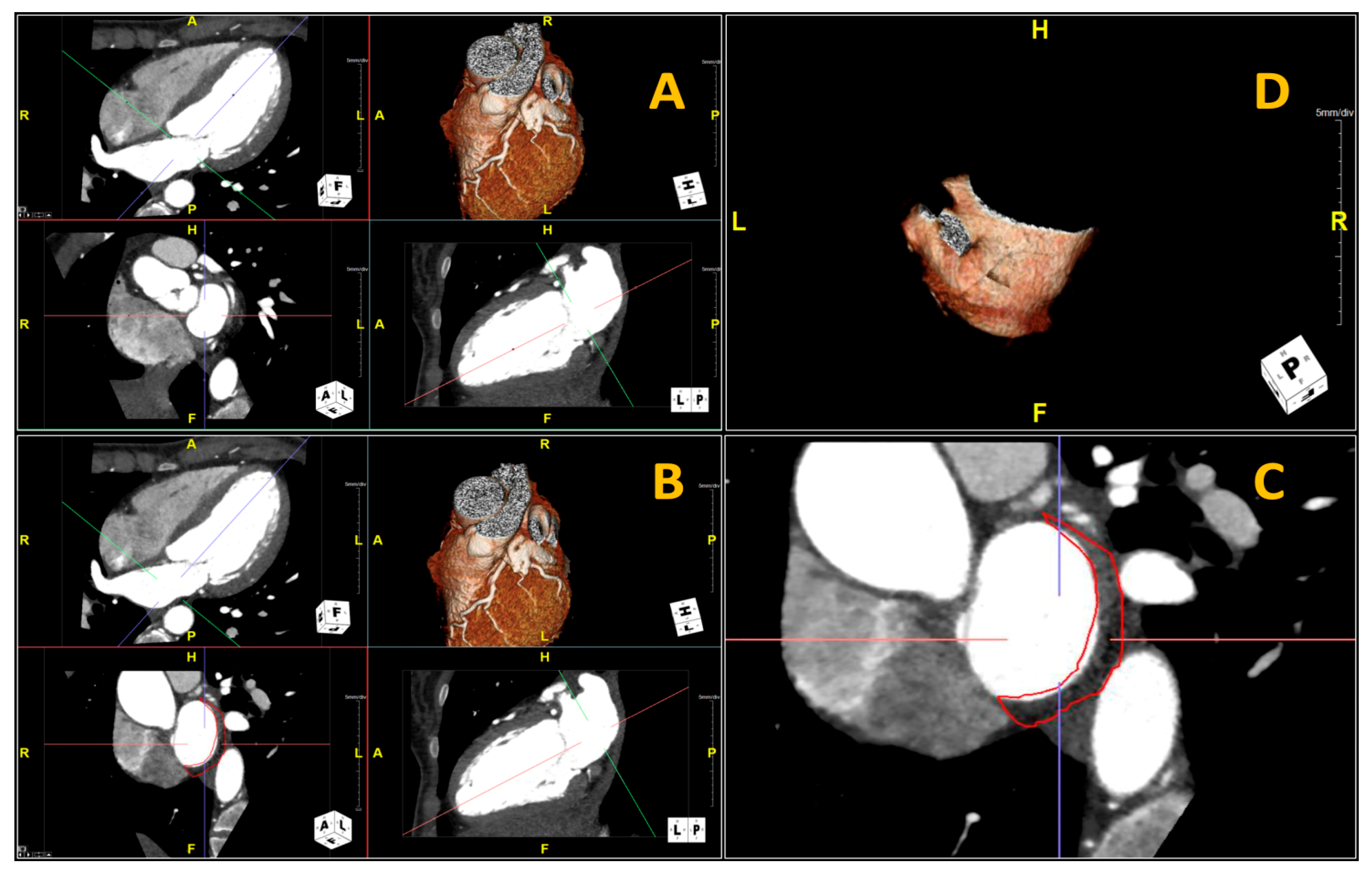 Diagnostics 11 02087 g001