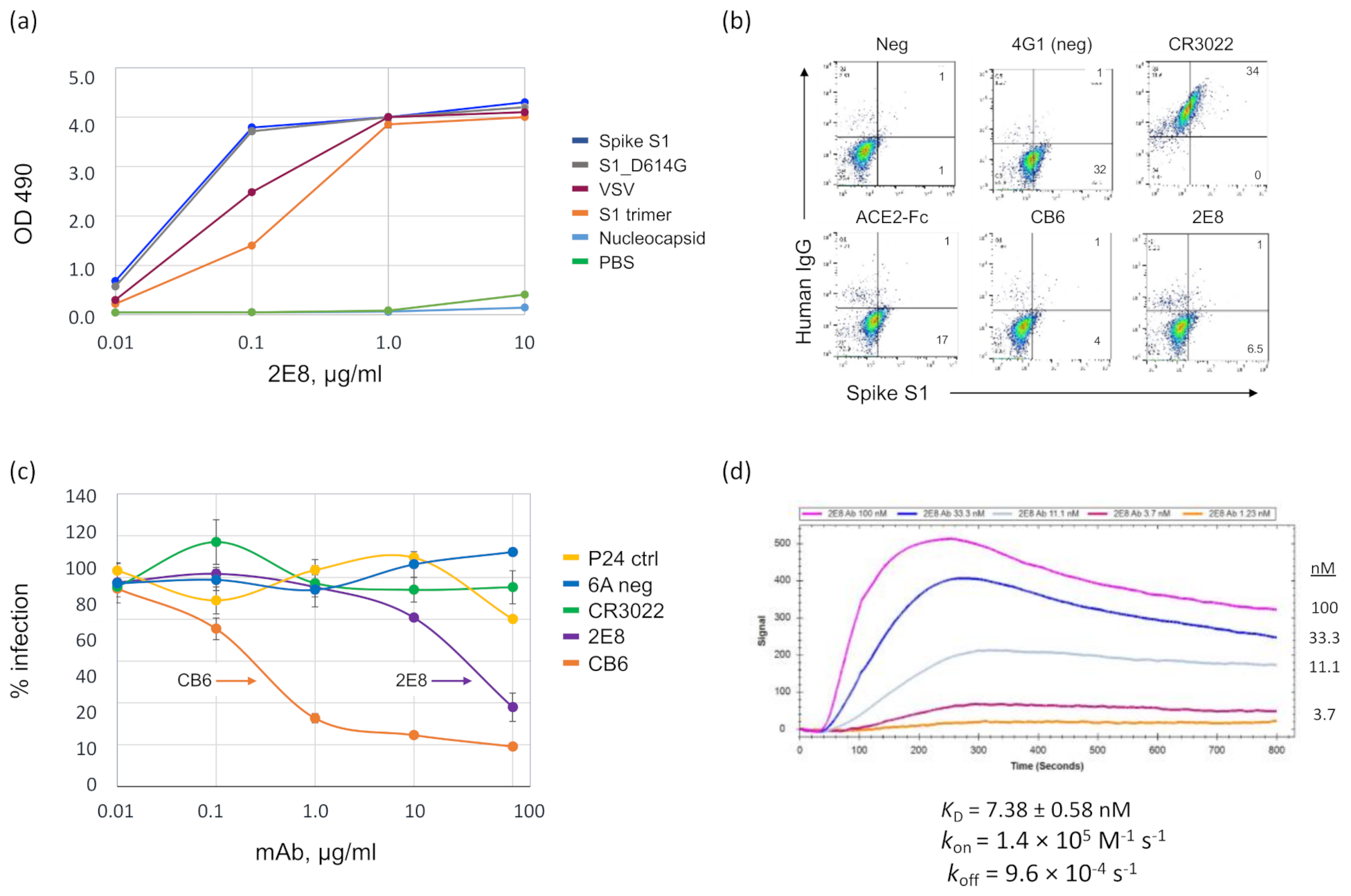 Diagnostics 11 02092 g001