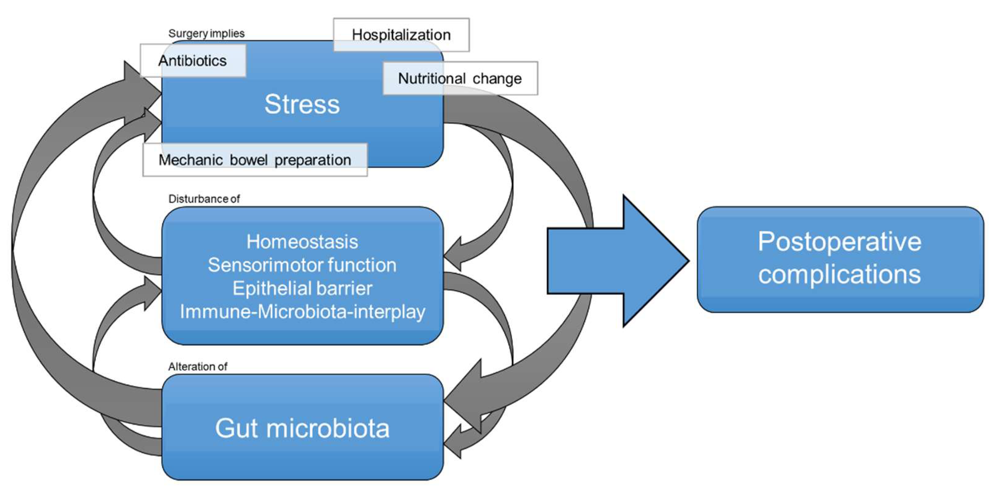 Diagnostics 11 02099 g001