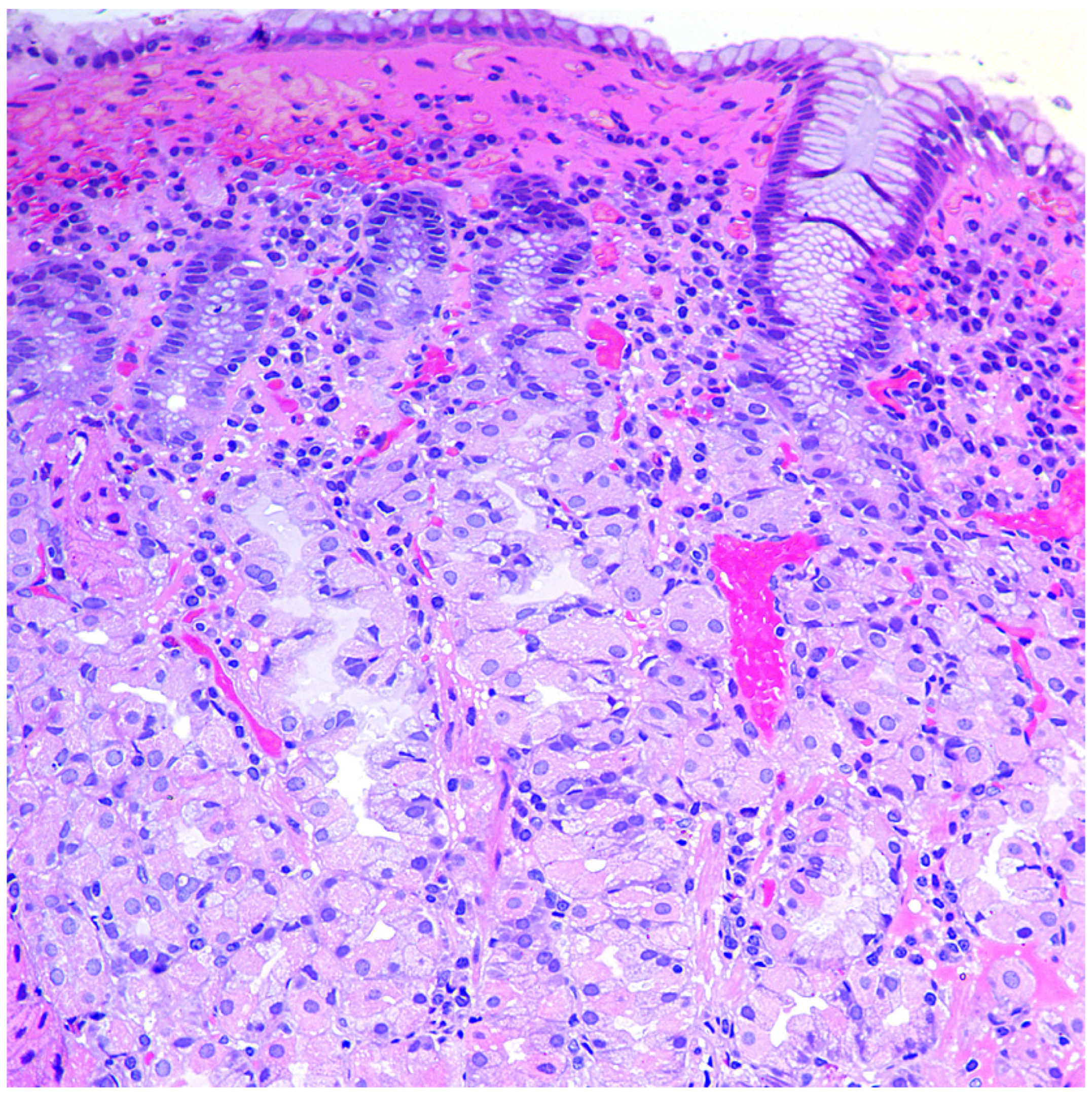 Diagnostics 11 02113 g001 Diagnostics 11 02113 g001