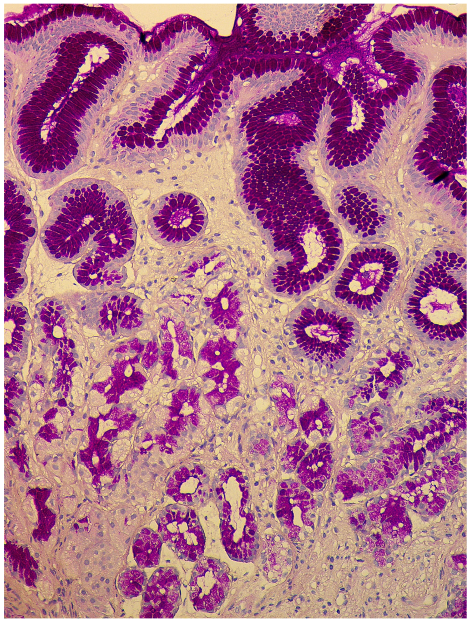 Diagnostics 11 02113 g002 Diagnostics 11 02113 g002