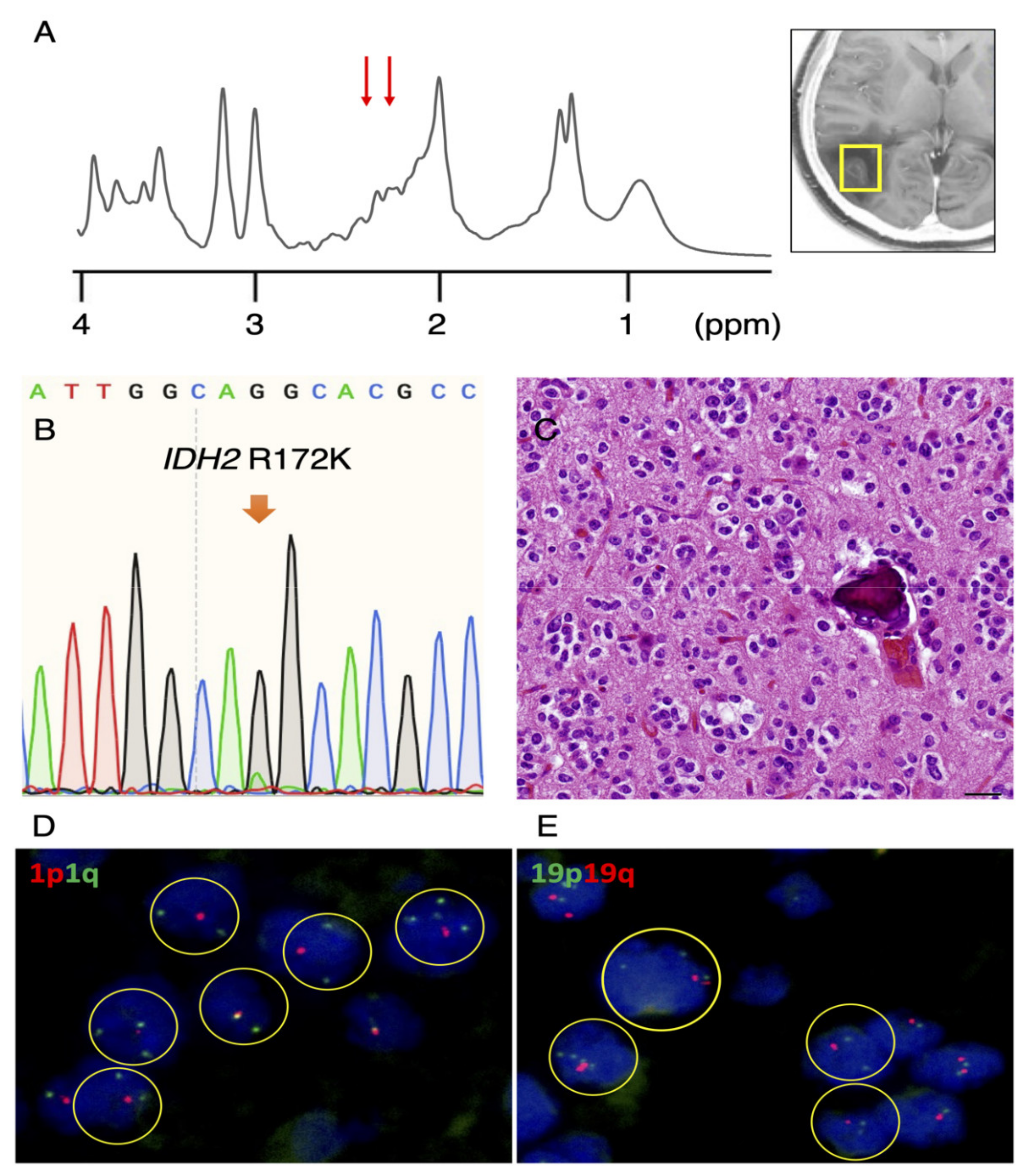 Diagnostics 11 02129 g002