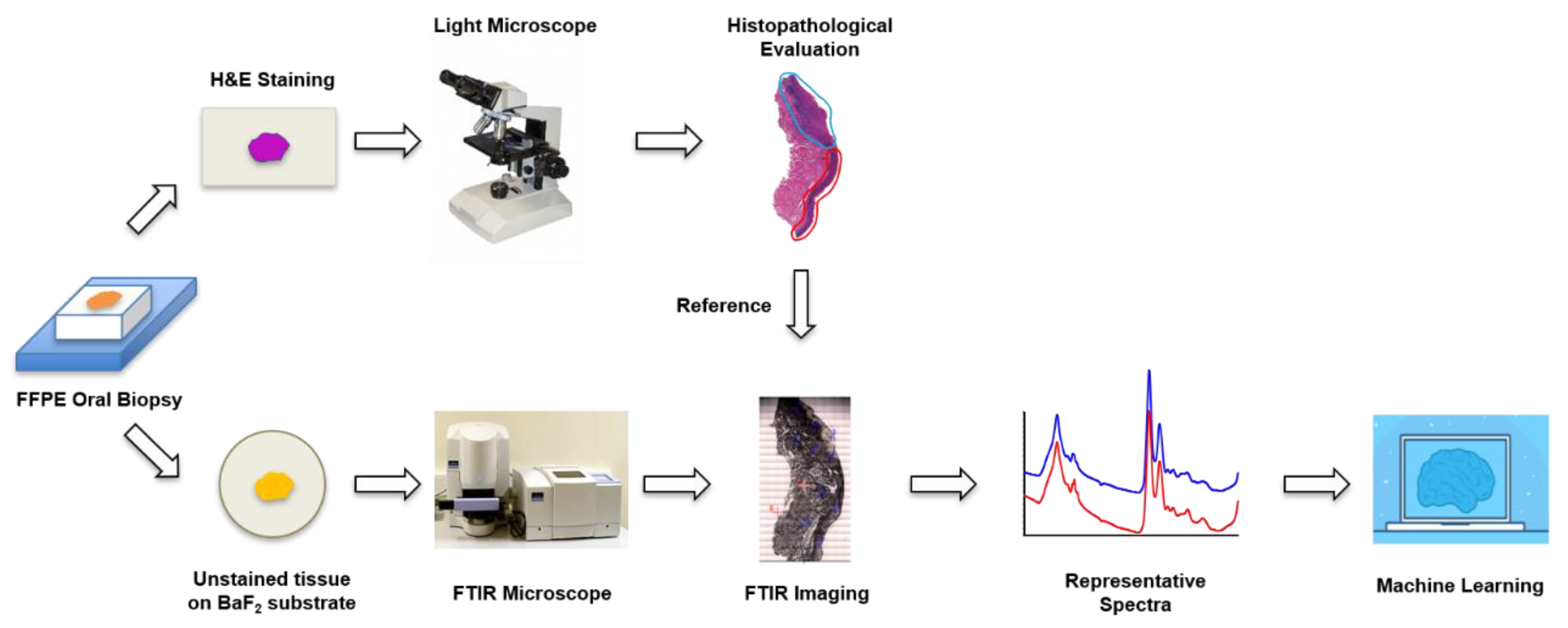 Diagnostics 11 02133 g001