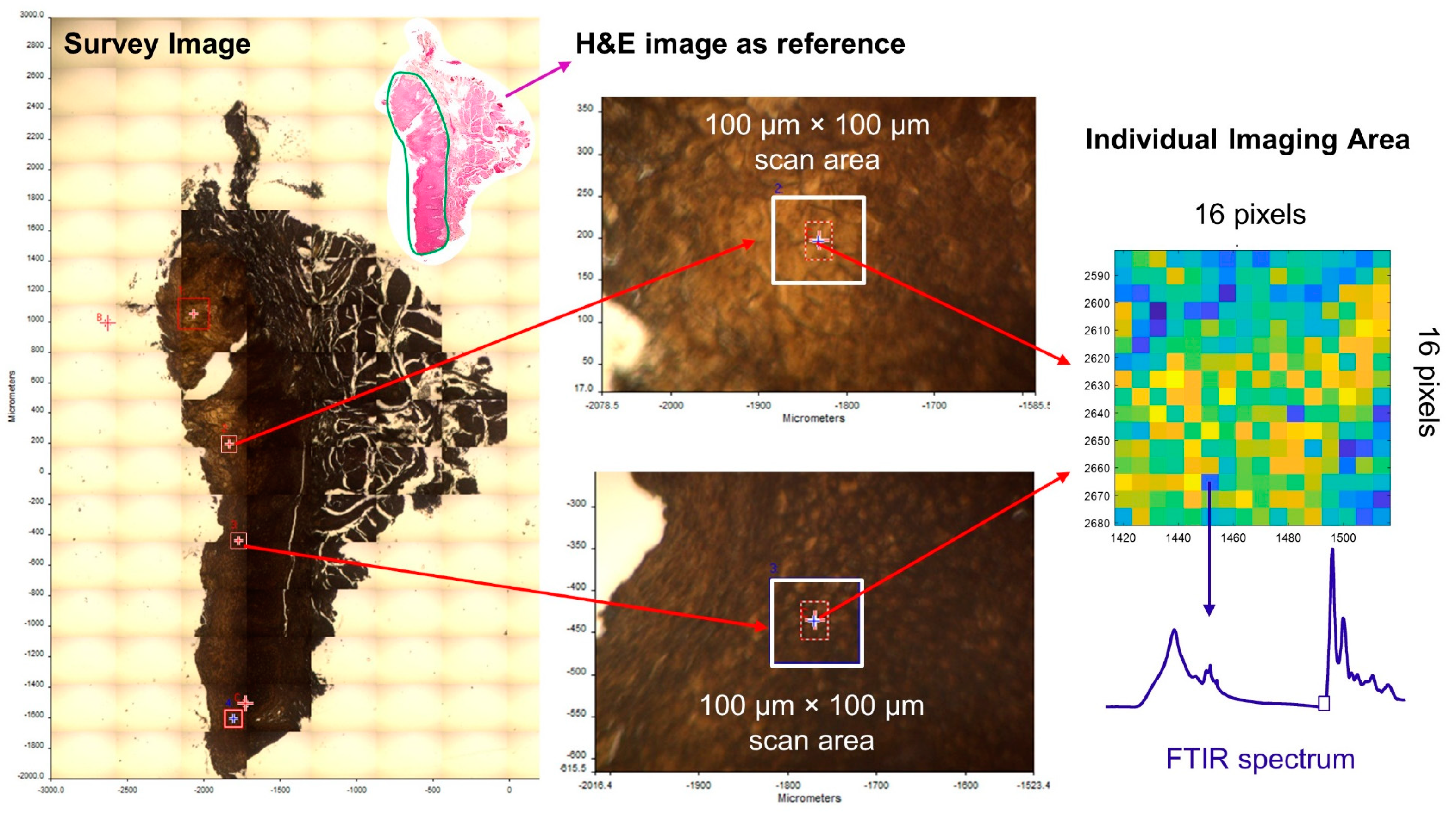 Diagnostics 11 02133 g002
