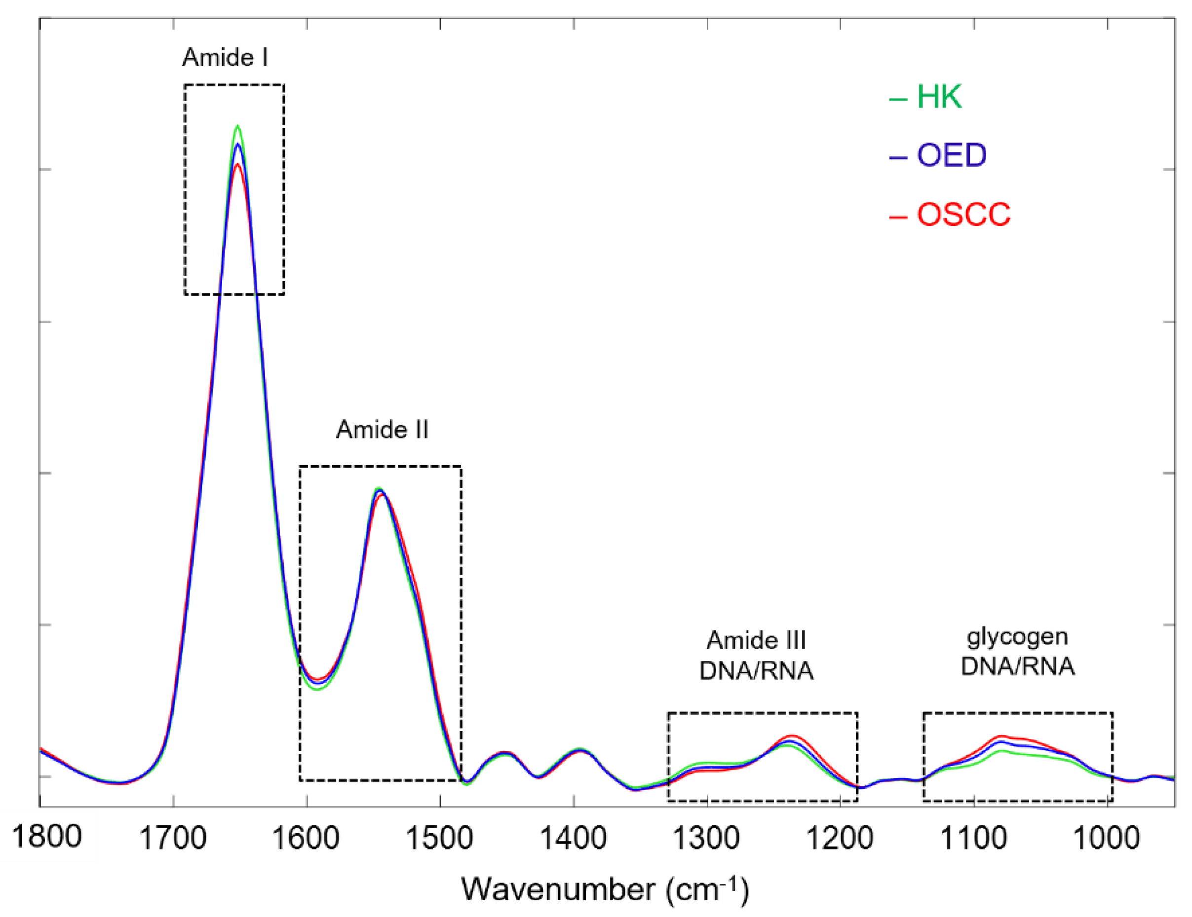 Diagnostics 11 02133 g003