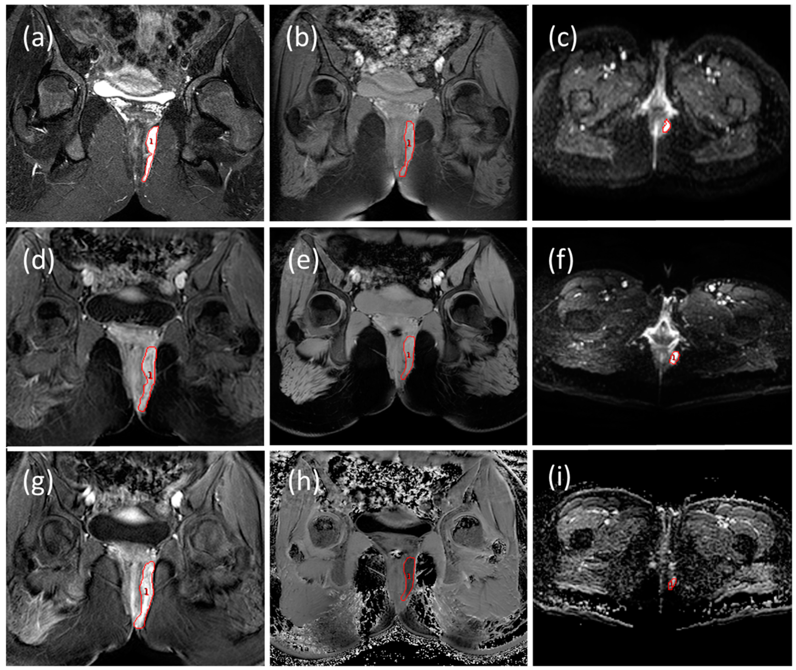 Diagnostics 11 02135 g002