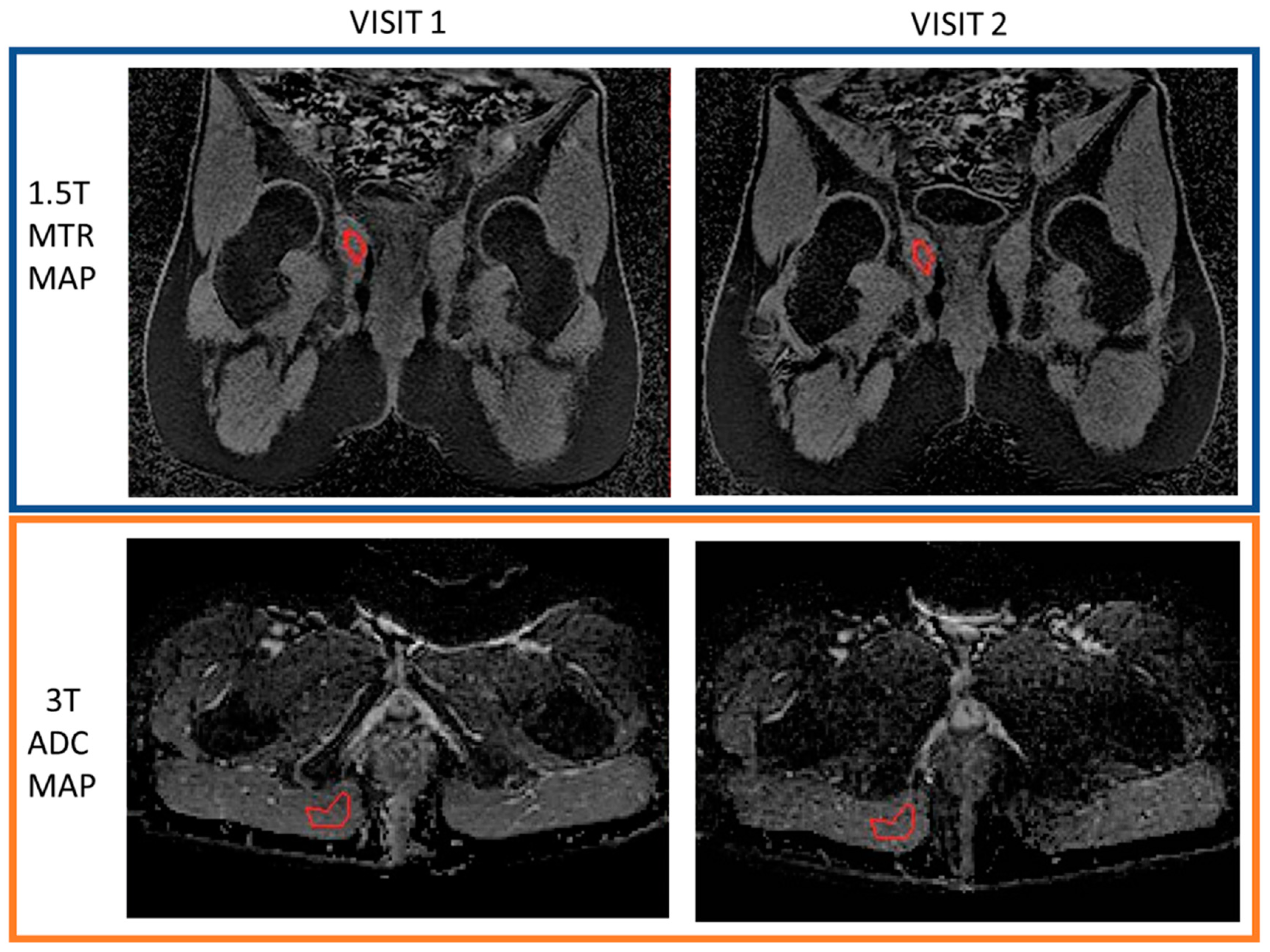 Diagnostics 11 02135 g003