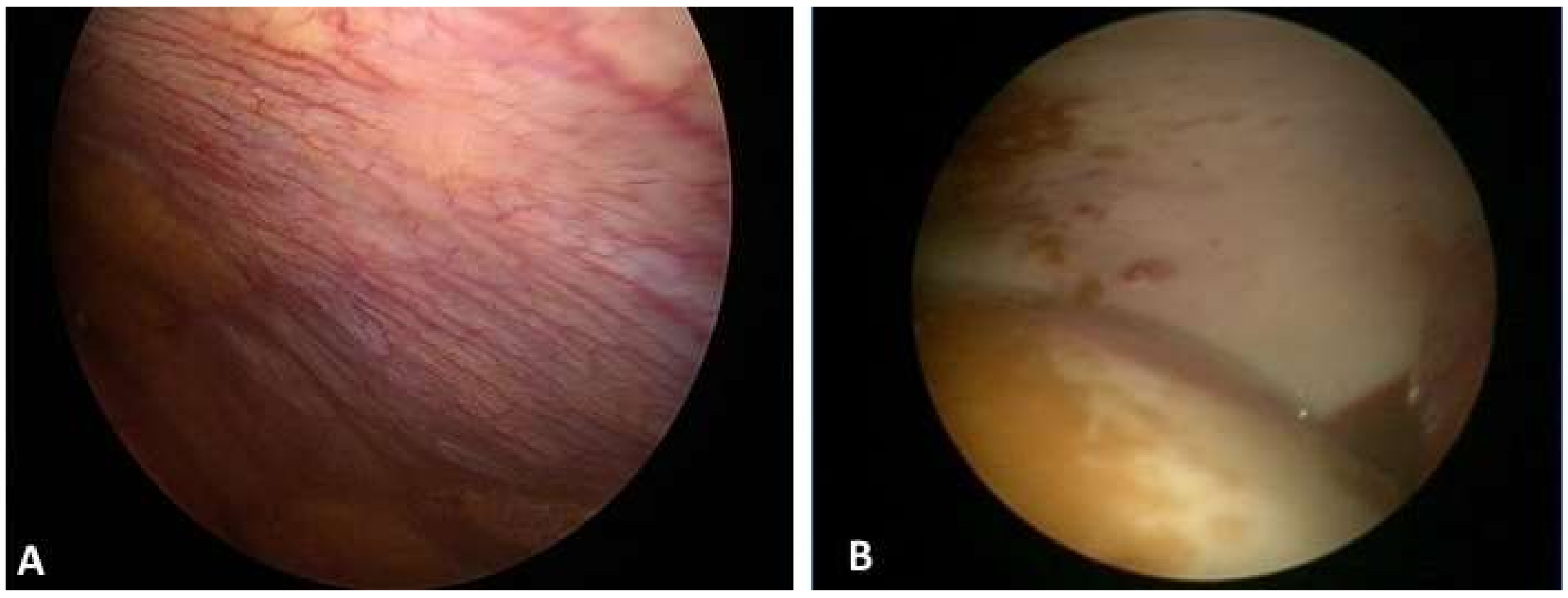 Diagnostics 11 02177 g003 550