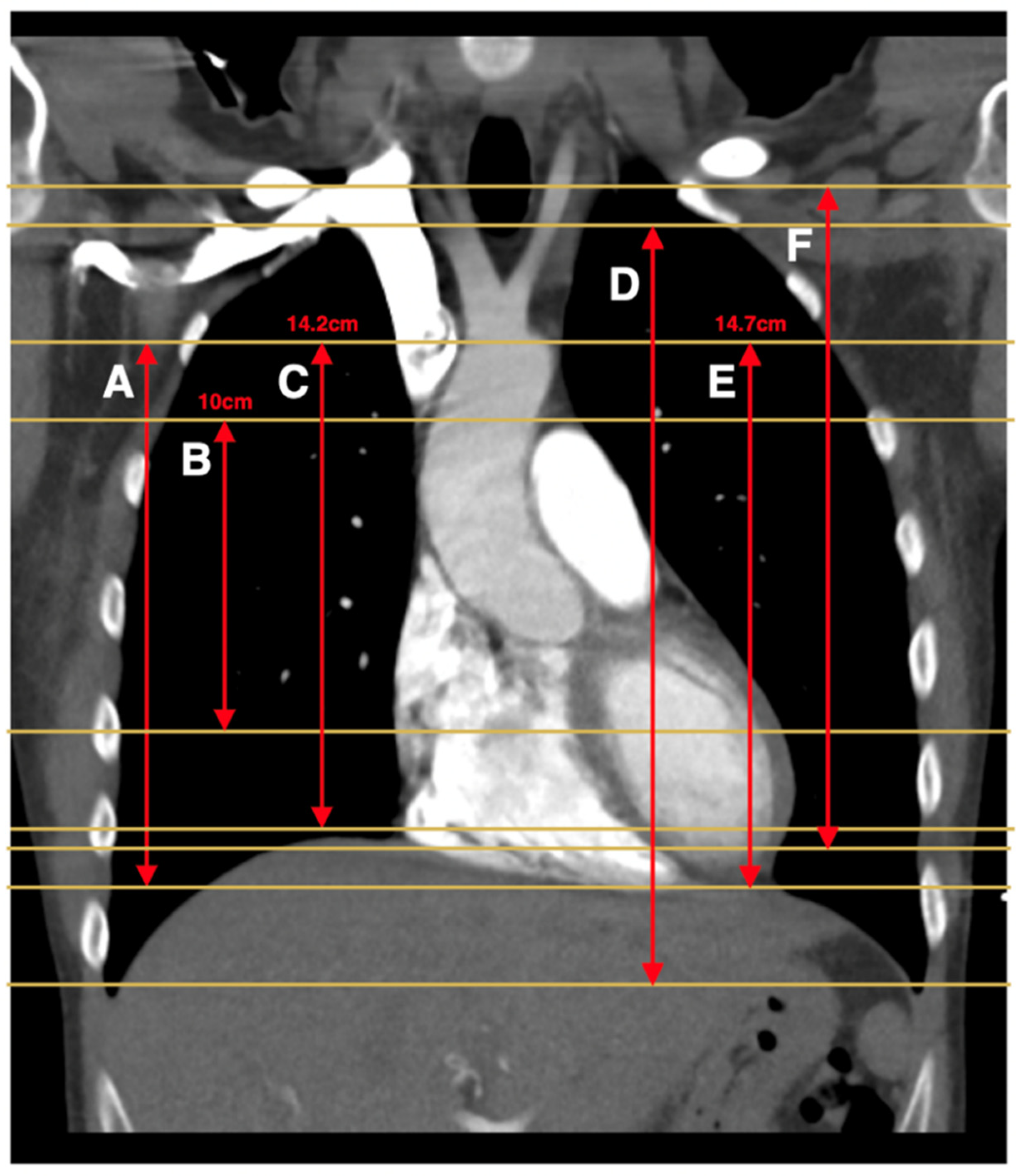 Diagnostics 11 02179 g002