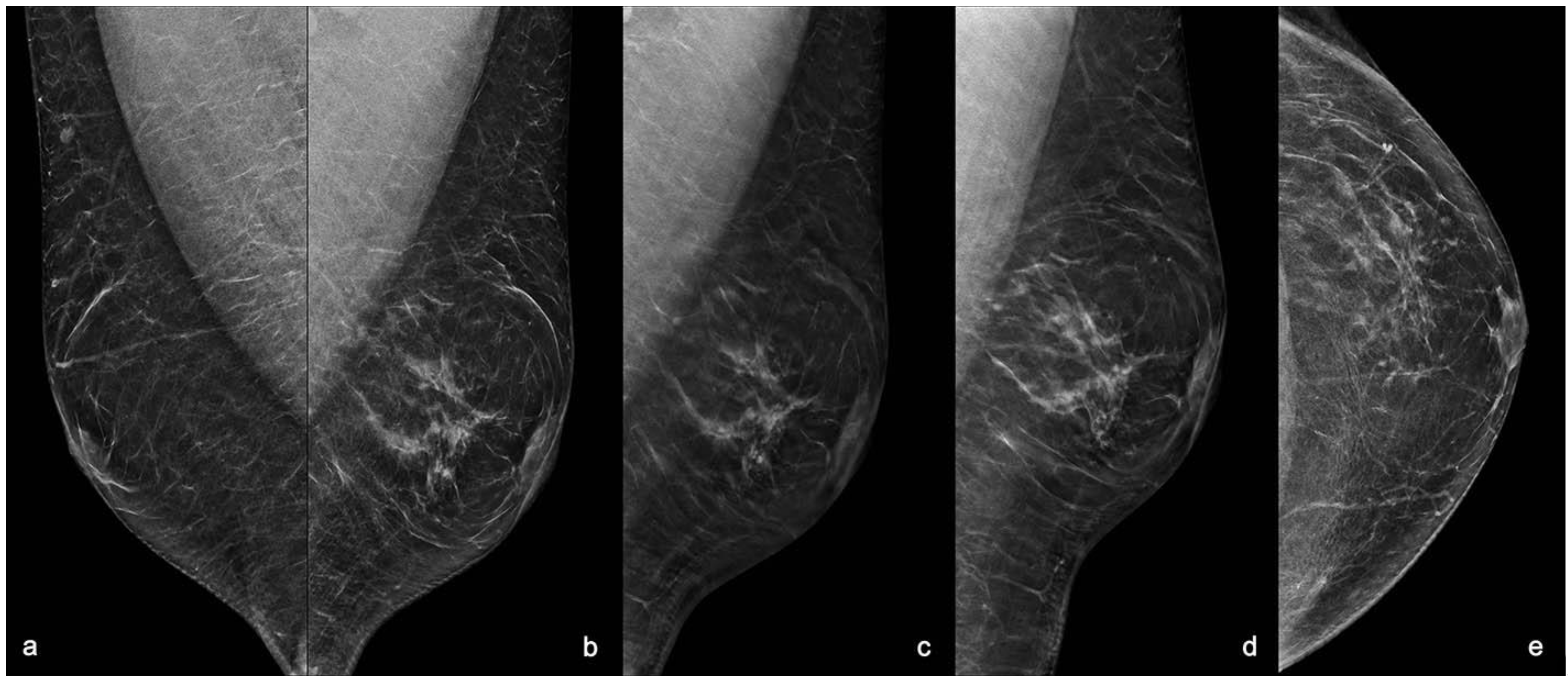 Diagnostics 11 02199 g001