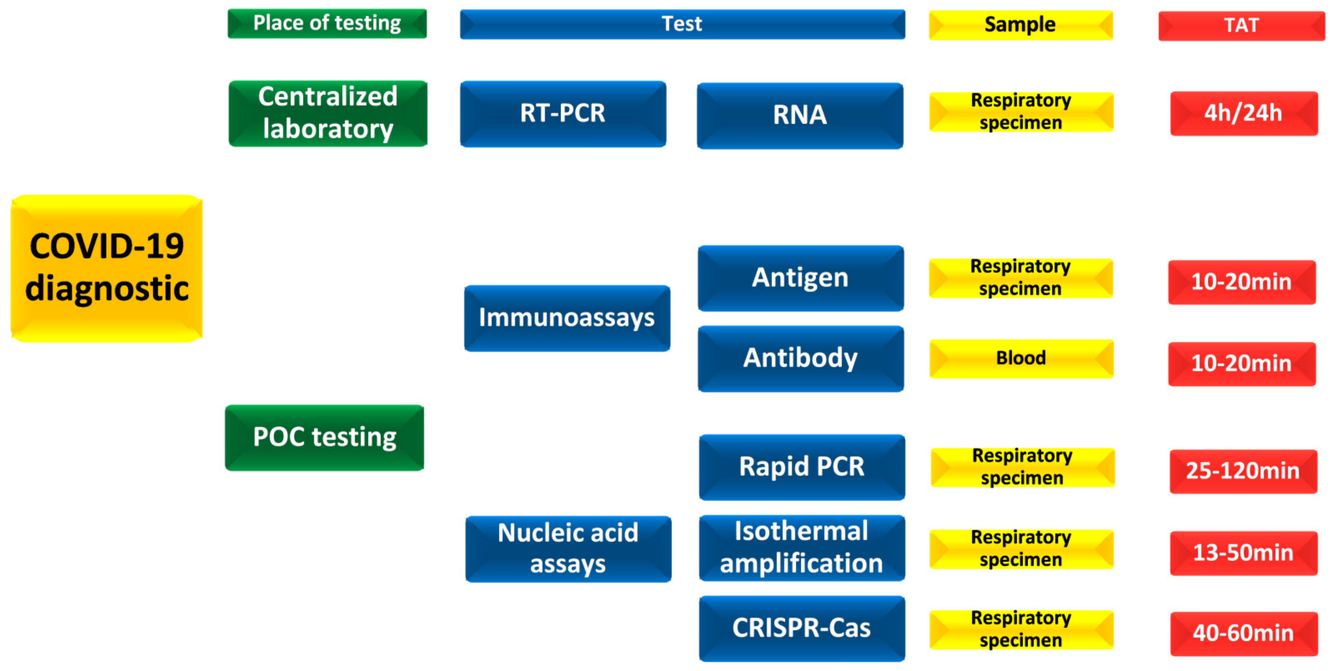 https://www.mdpi.com/diagnostics/diagnostics-11-02202/article_deploy/html/images/diagnostics-11-02202-g002.png