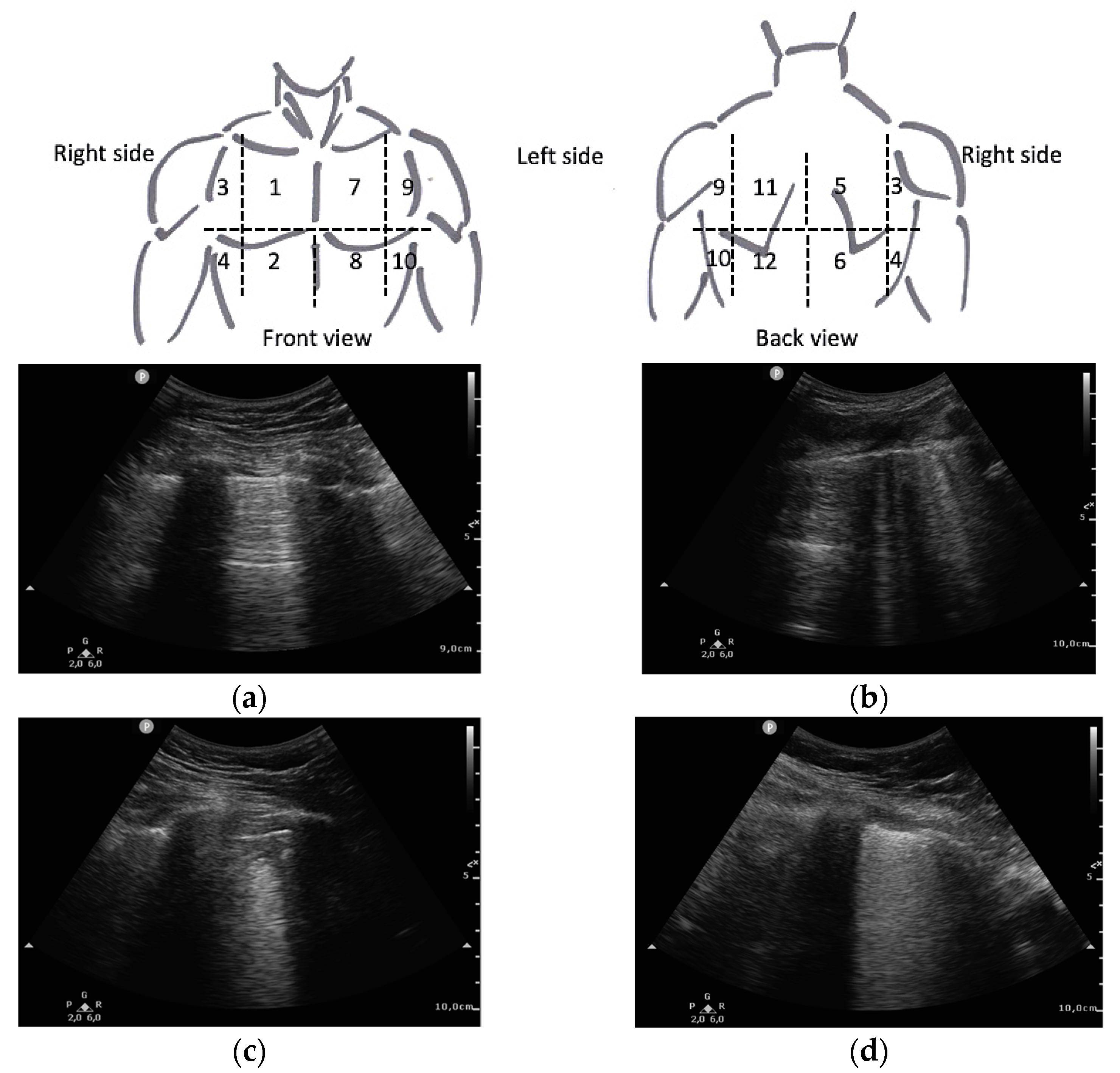 Diagnostics 11 02211 g001 Diagnostics 11 02211 g001