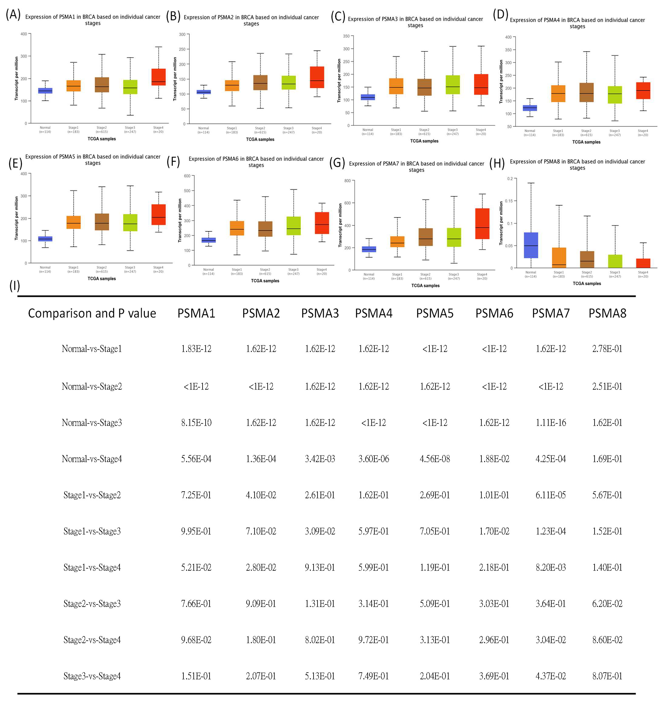 Diagnostics 11 02220 g002 Diagnostics 11 02220 g002