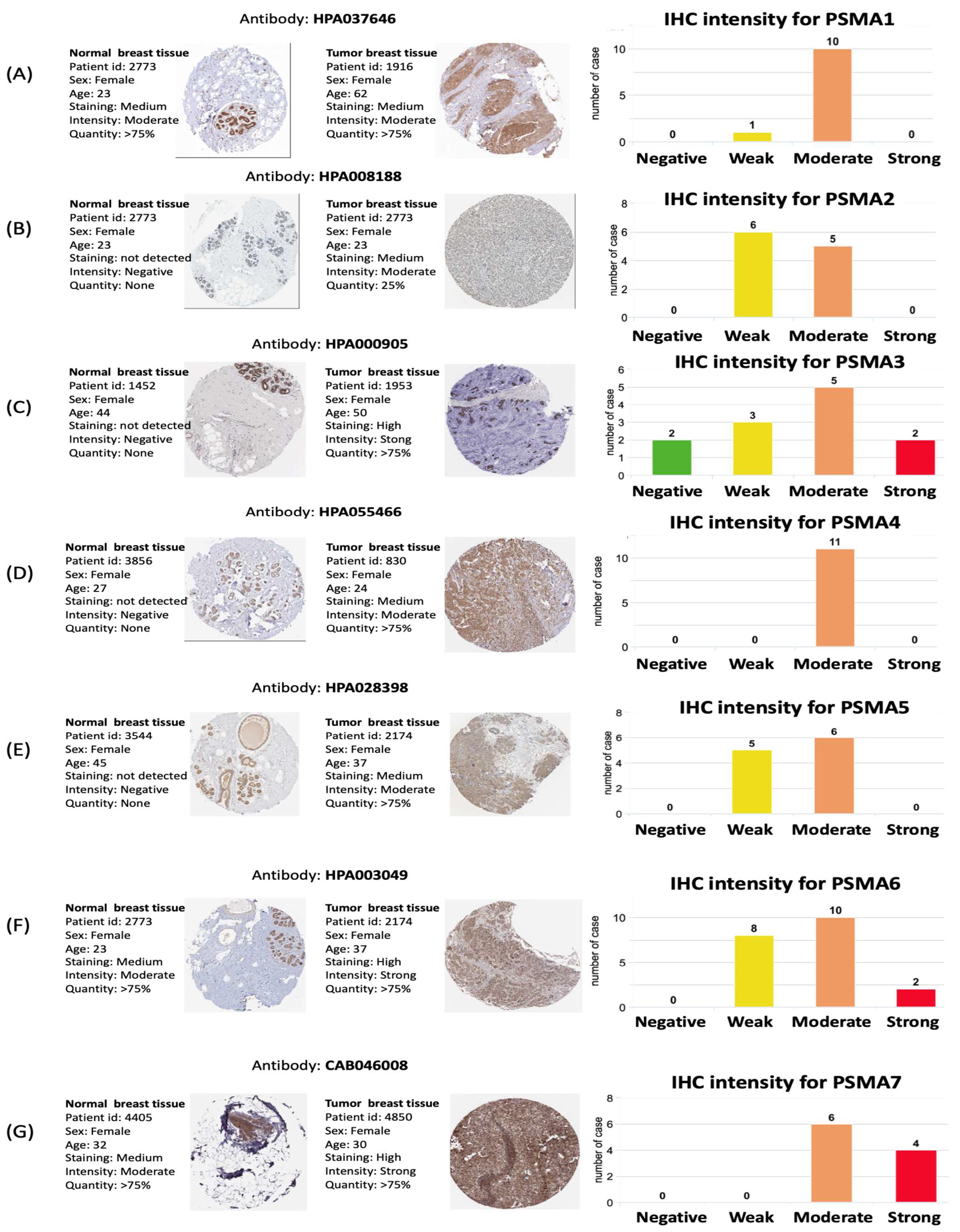 Diagnostics 11 02220 g003 Diagnostics 11 02220 g003