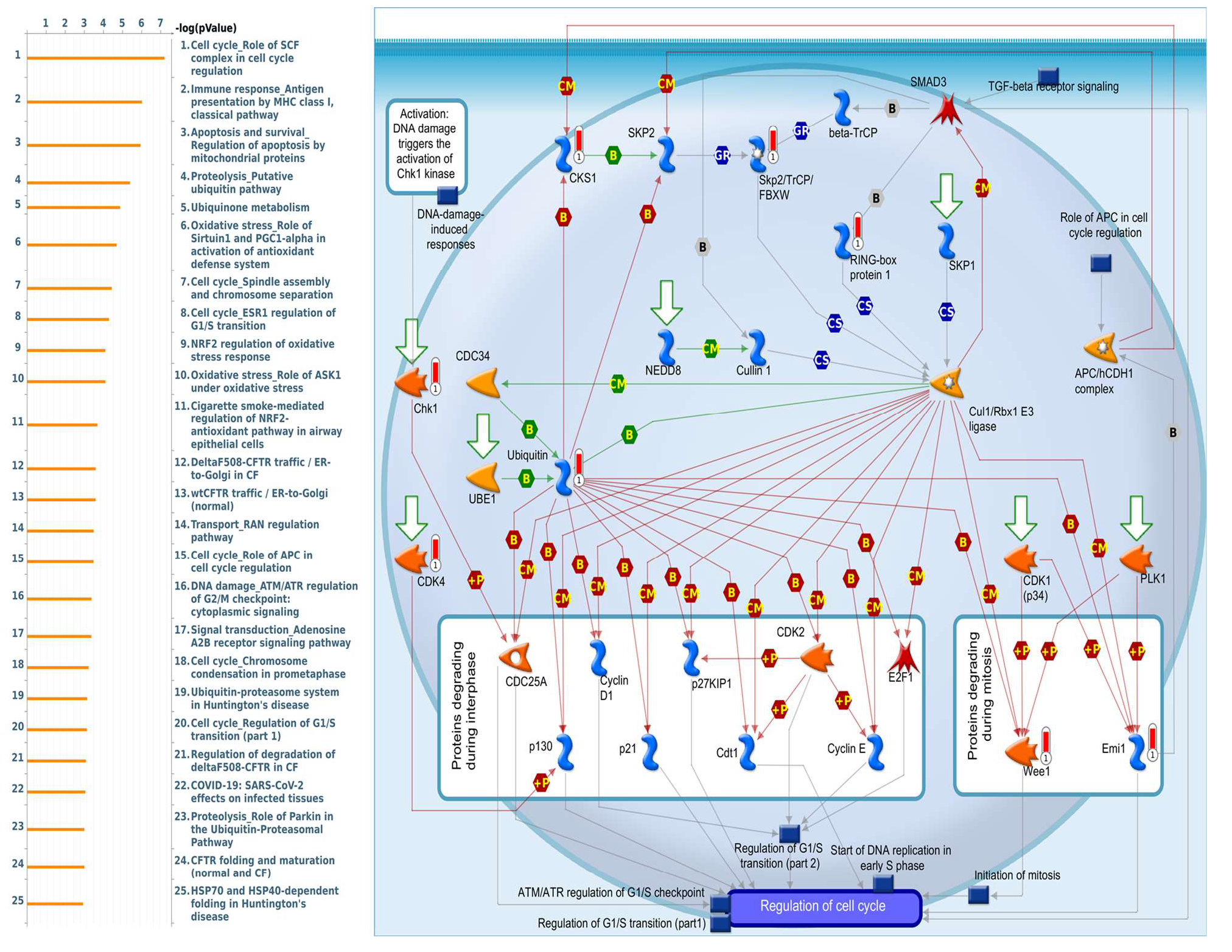 Diagnostics 11 02220 g005 Diagnostics 11 02220 g005