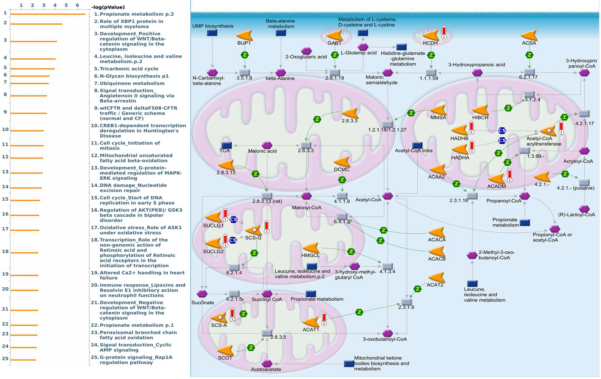 Diagnostics 11 02220 g006 Diagnostics 11 02220 g006