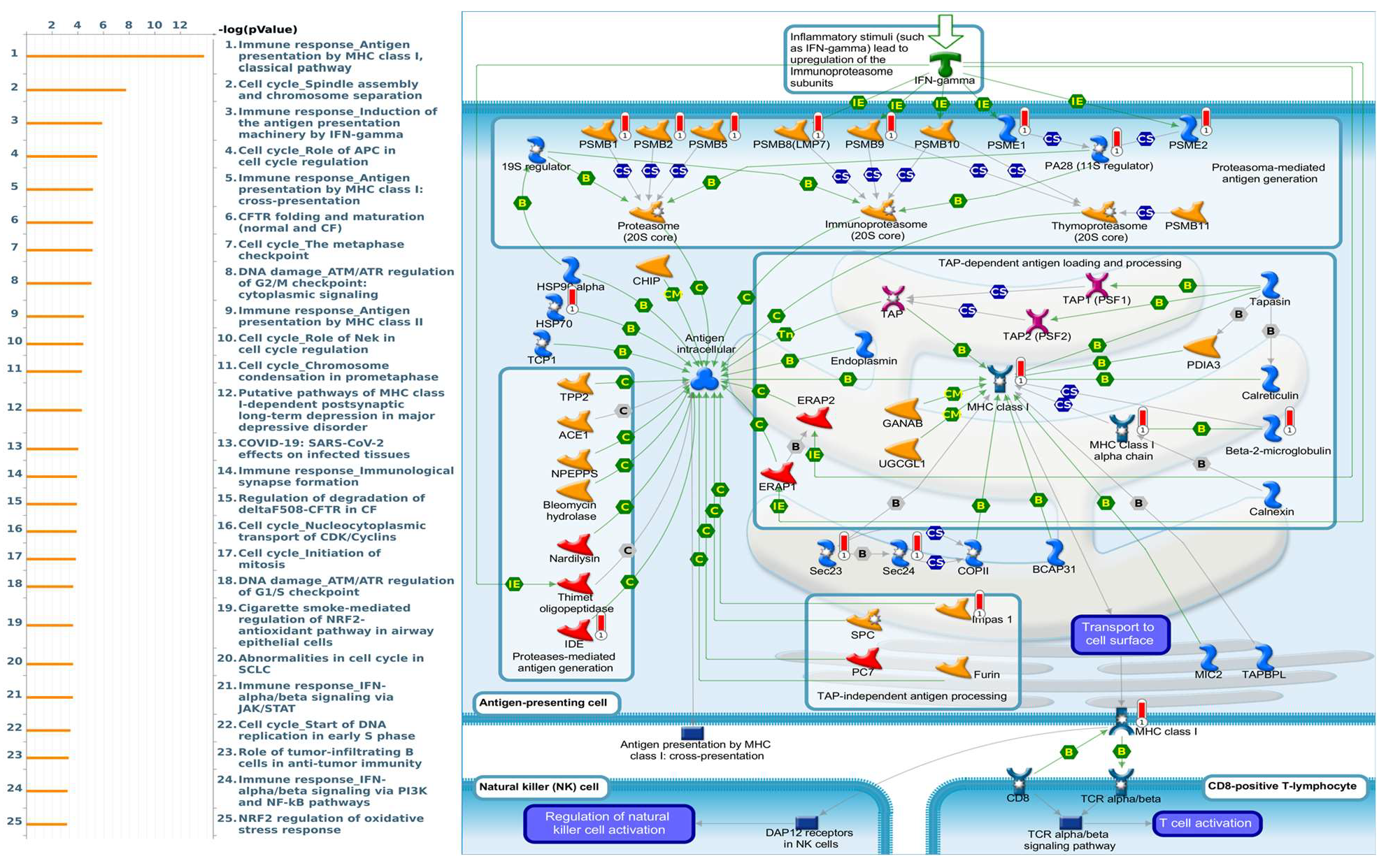 Diagnostics 11 02220 g007 Diagnostics 11 02220 g007