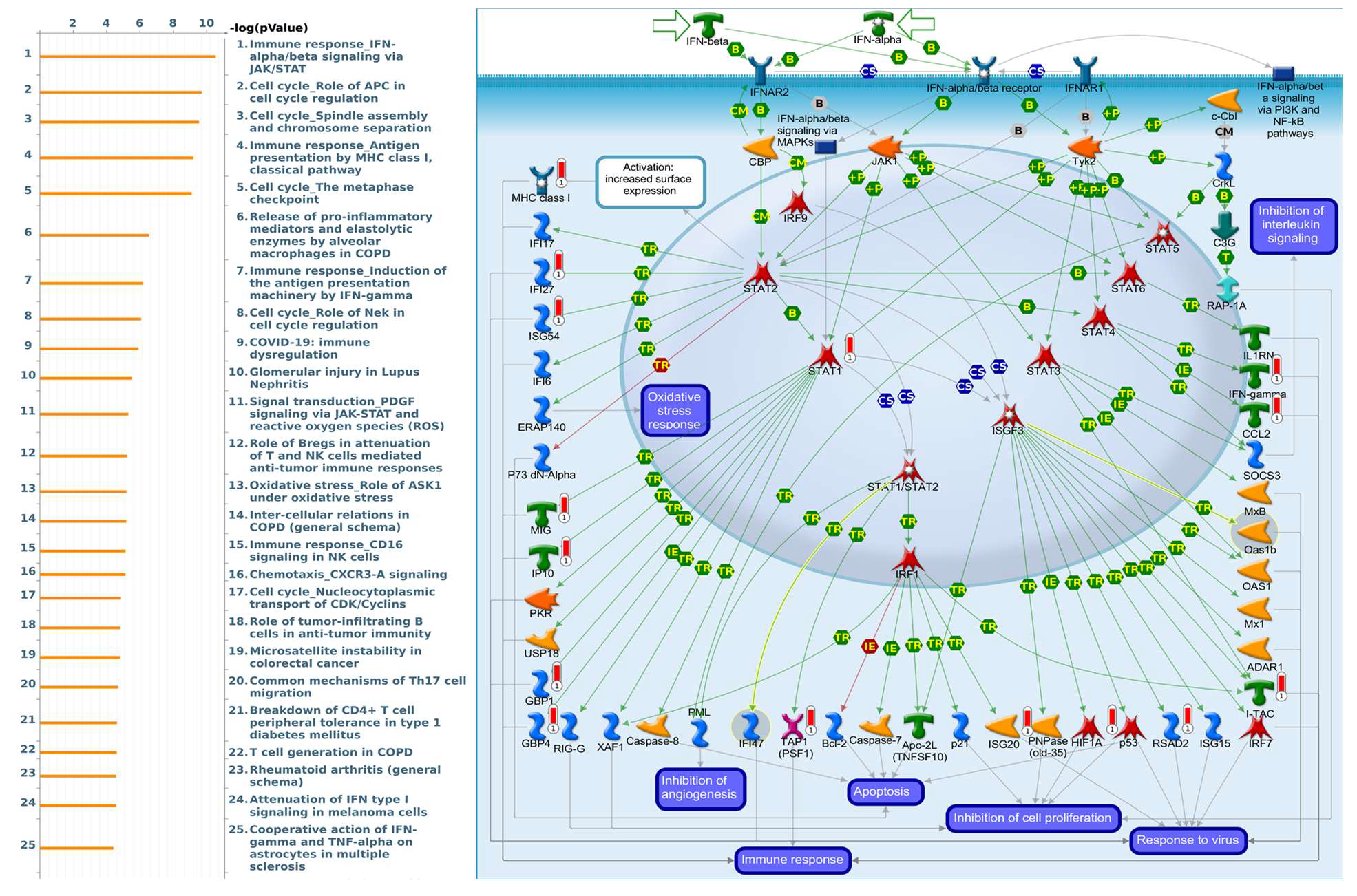 Diagnostics 11 02220 g008 Diagnostics 11 02220 g008