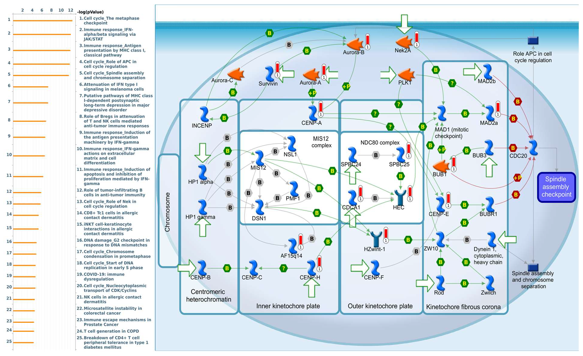 Diagnostics 11 02220 g009 Diagnostics 11 02220 g009