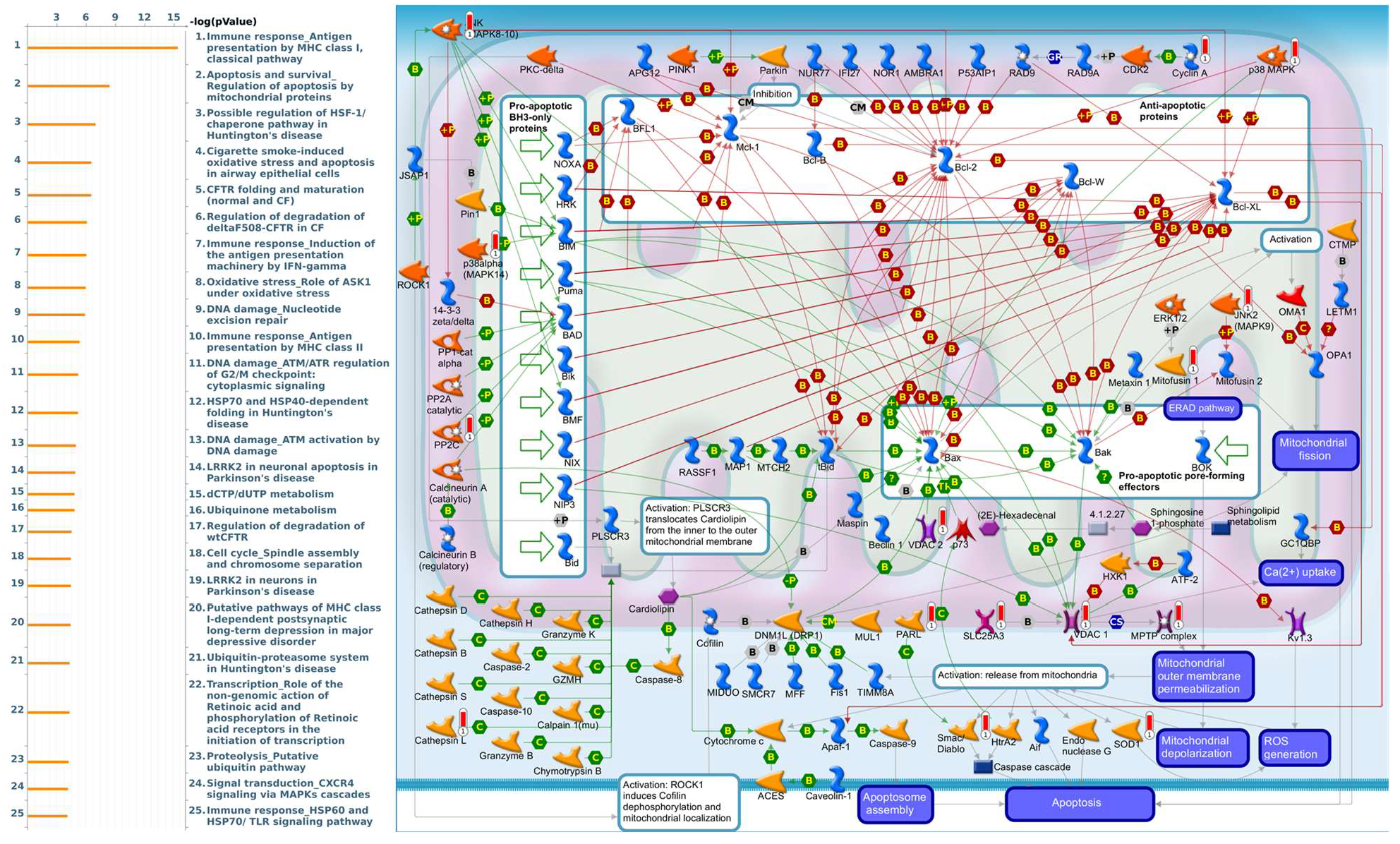 Diagnostics 11 02220 g010 Diagnostics 11 02220 g010