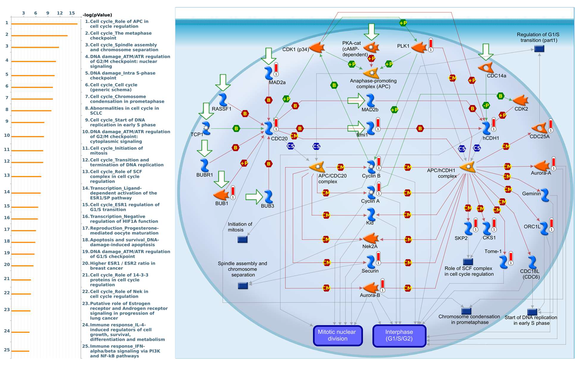 Diagnostics 11 02220 g011 Diagnostics 11 02220 g011