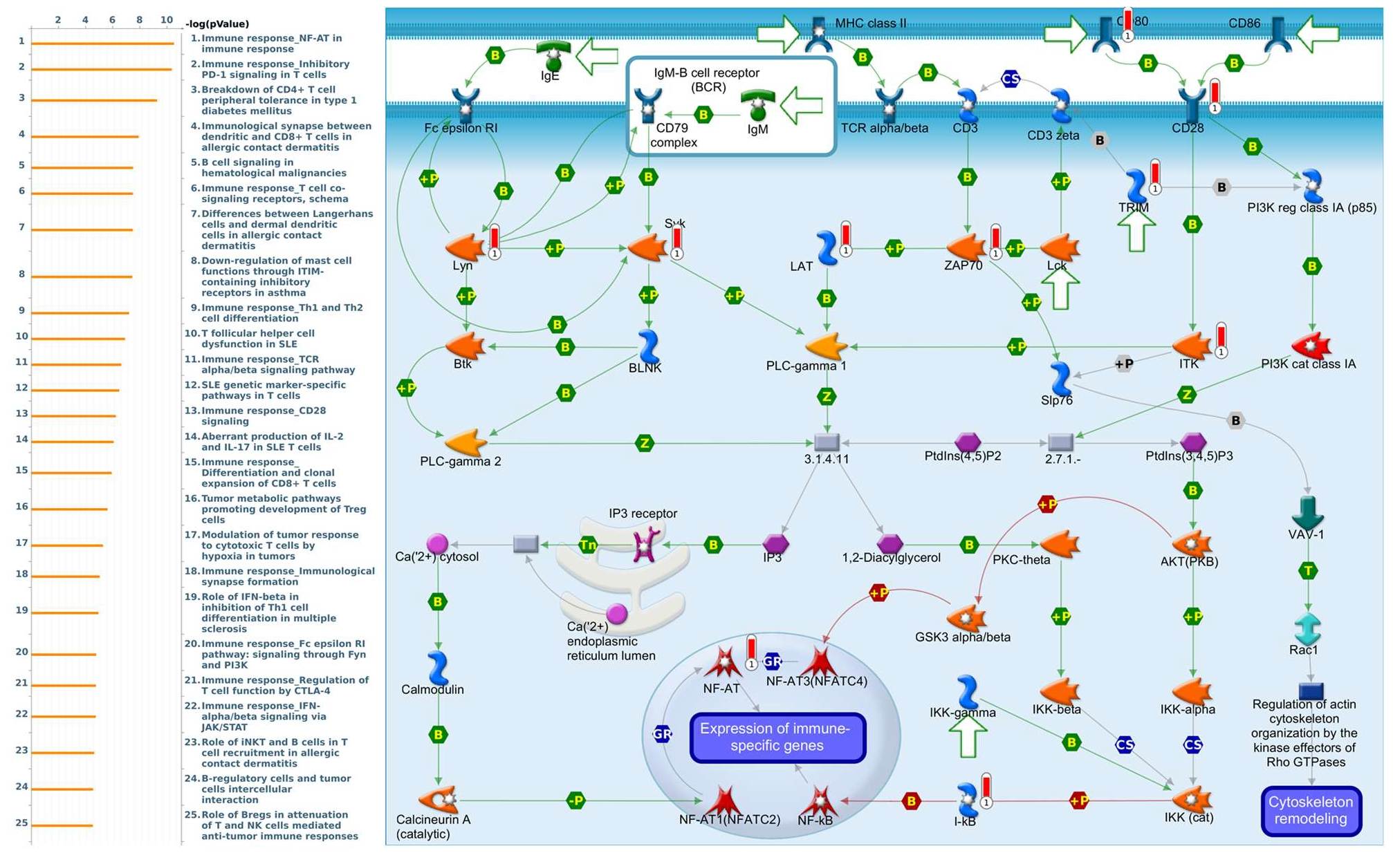 Diagnostics 11 02220 g012 Diagnostics 11 02220 g012