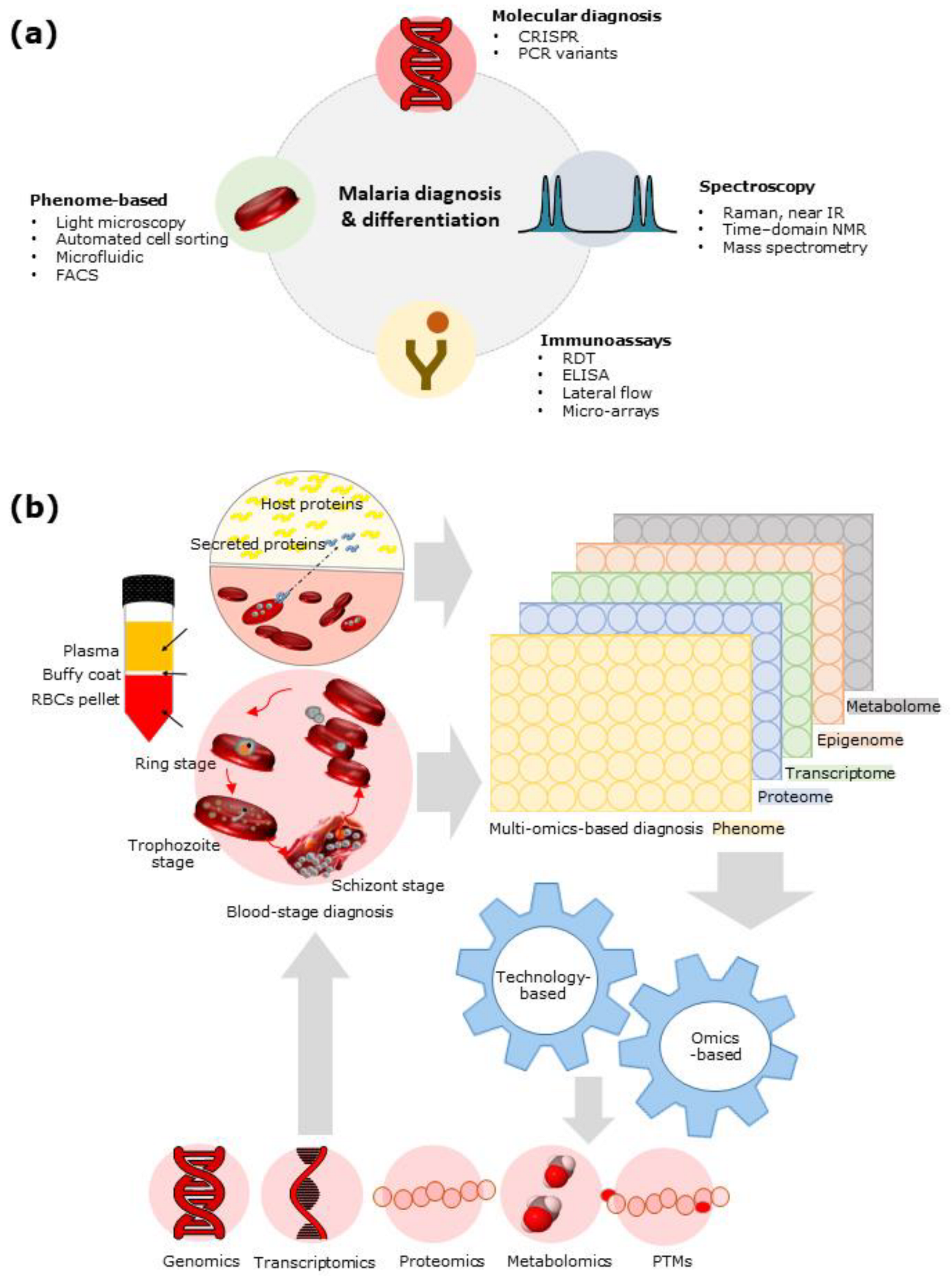 Diagnostics 11 02222 g001 Diagnostics 11 02222 g001