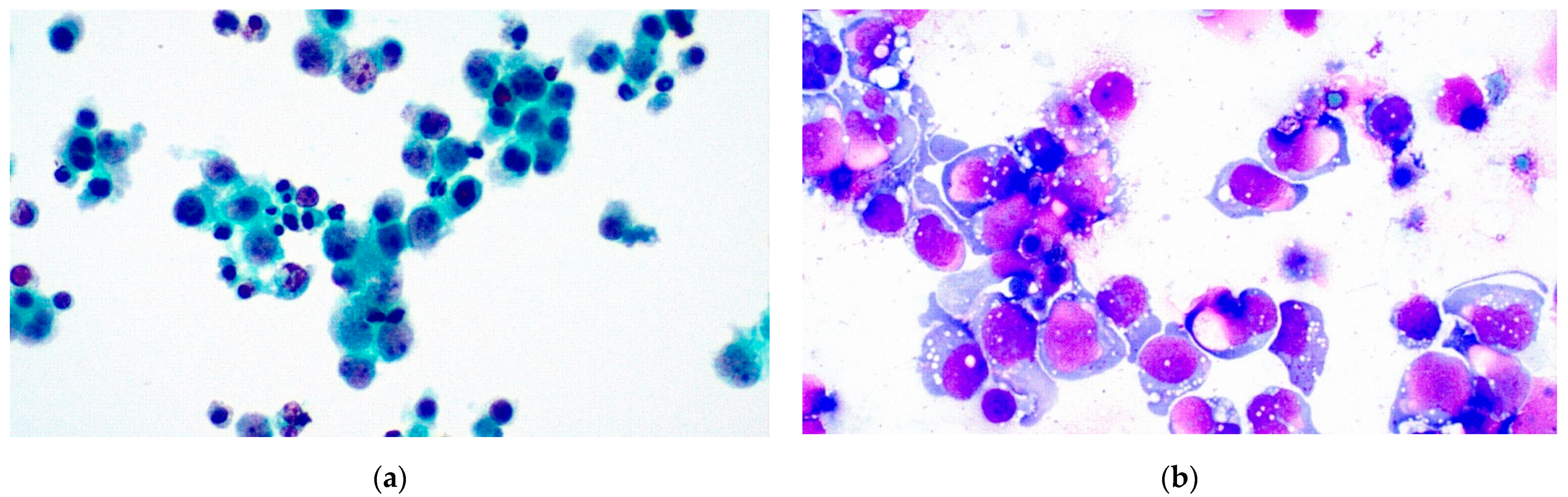 Diagnostics 11 02223 g002 550