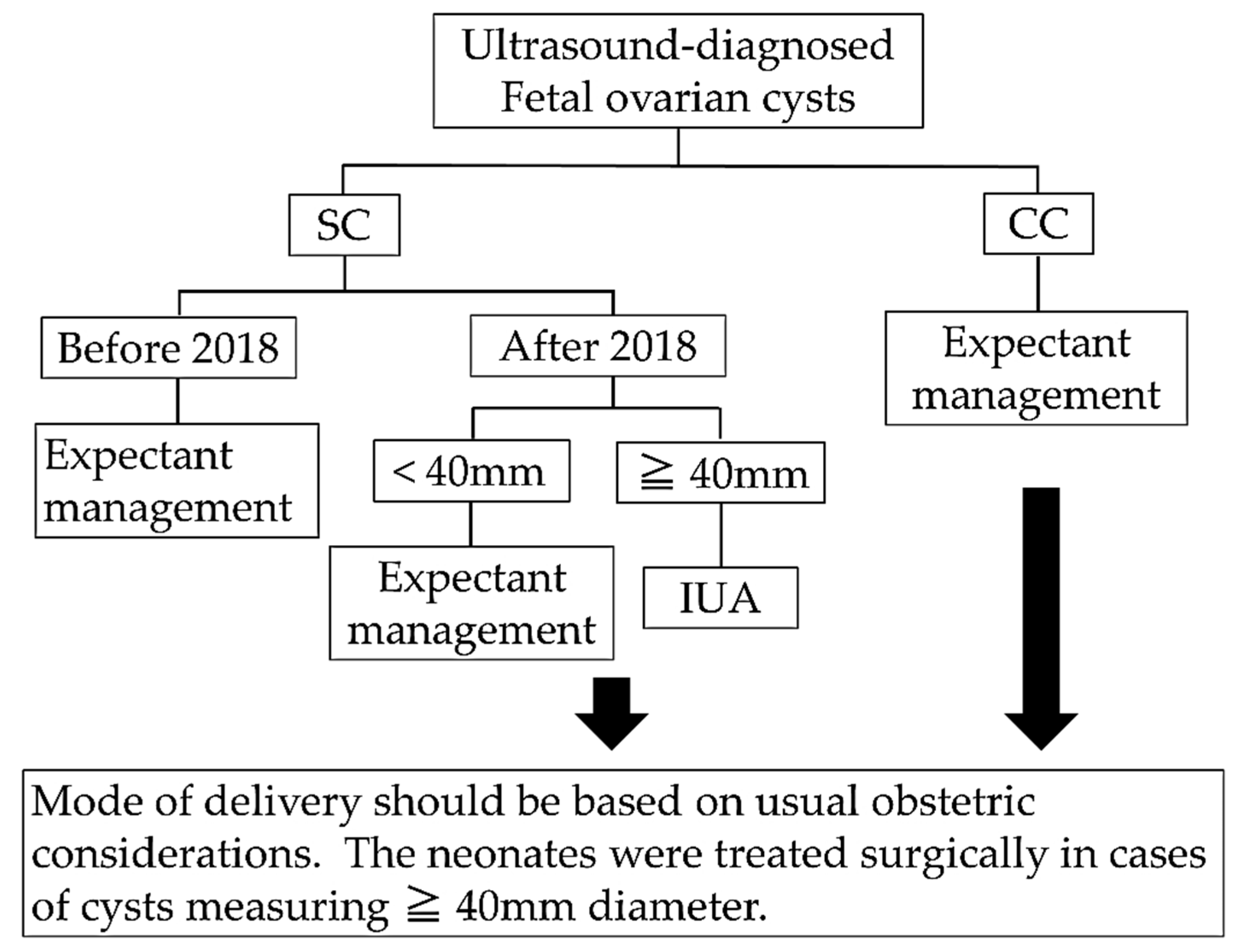 Diagnostics 11 02224 g002 Diagnostics 11 02224 g002