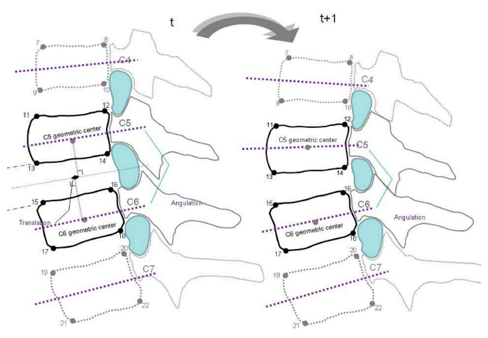 Diagnostics 11 02226 g001 550