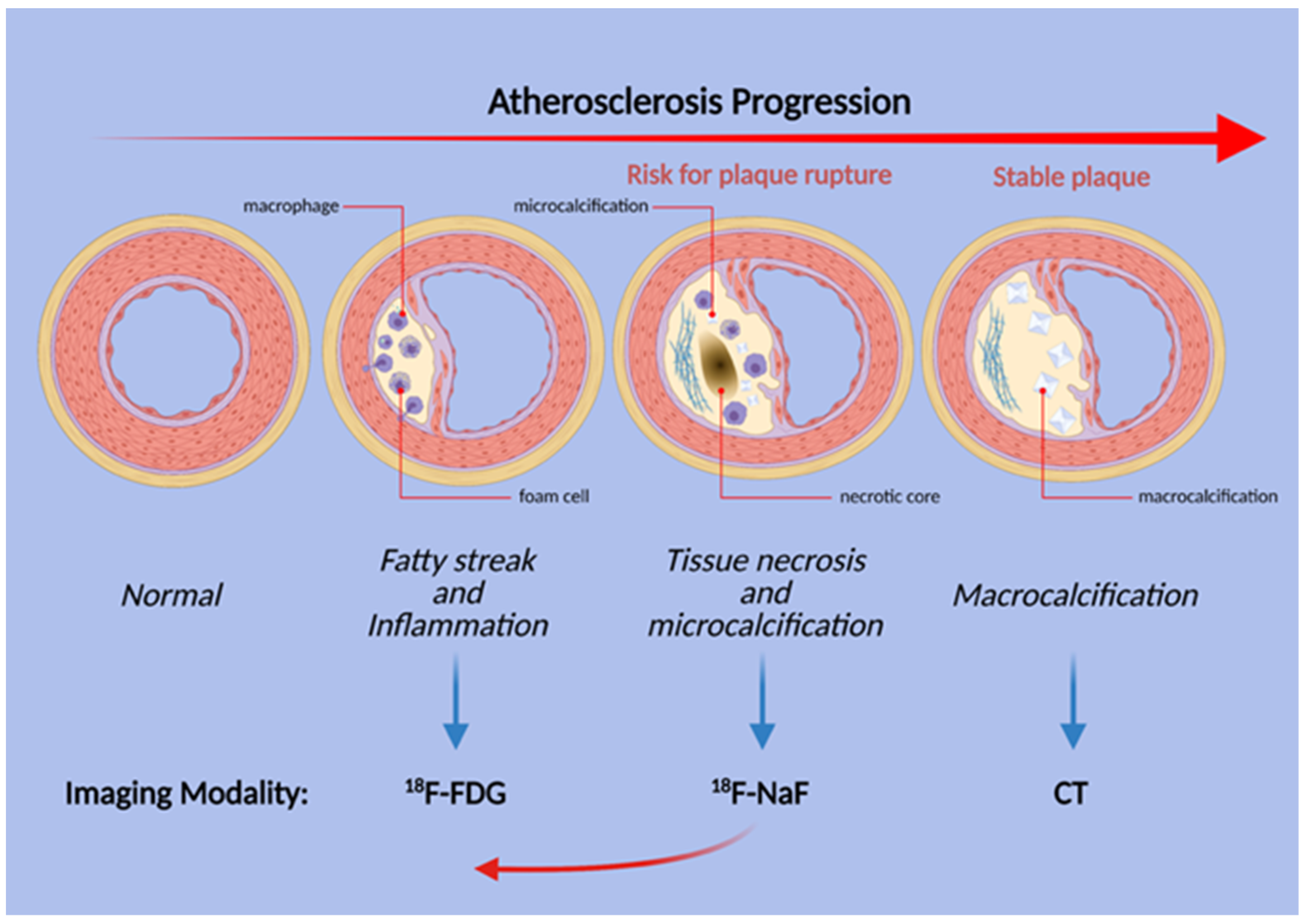 Diagnostics 11 02234 g003 Diagnostics 11 02234 g003