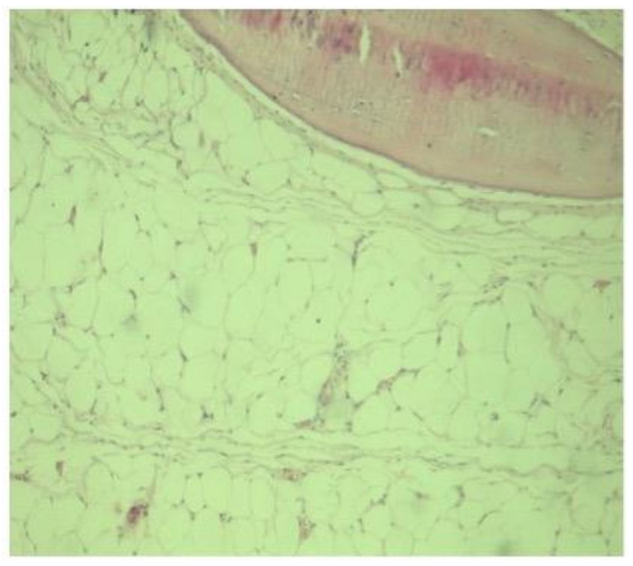 Diagnostics 11 02243 g004