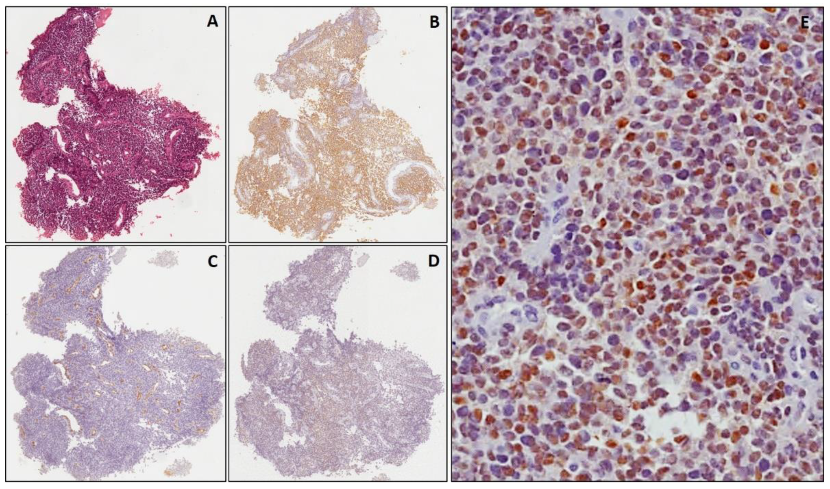 Diagnostics 11 02254 g002 550