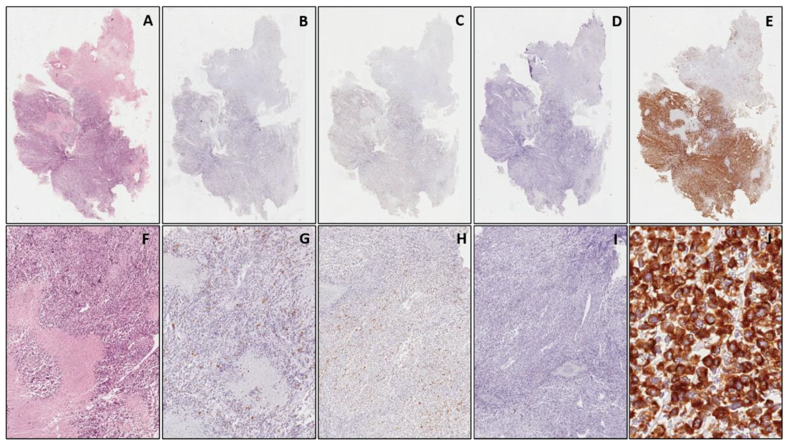 Diagnostics 11 02254 g004 550