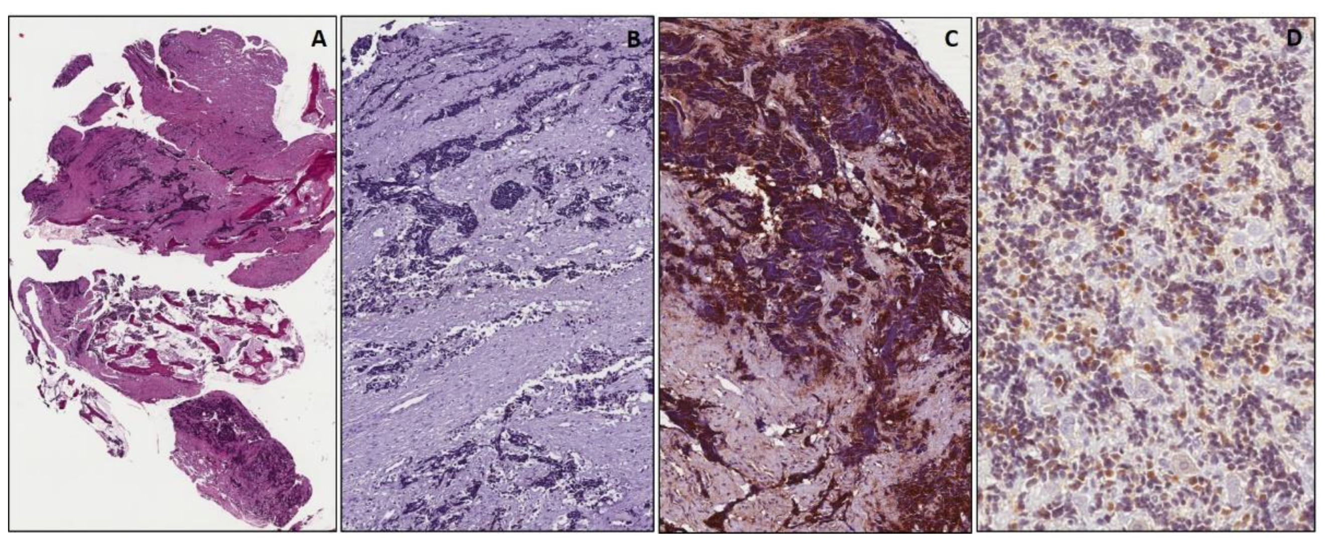 Diagnostics 11 02254 g005 550