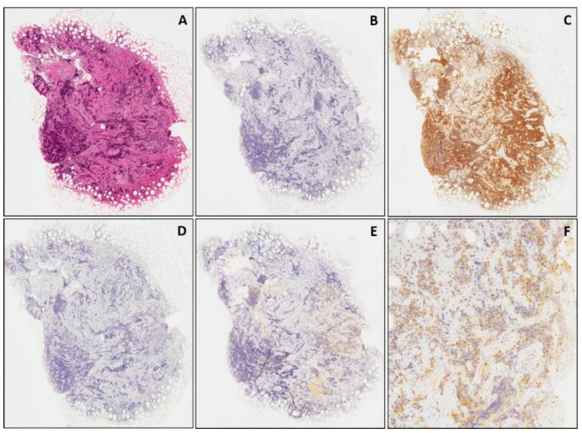 Diagnostics 11 02254 g006 550